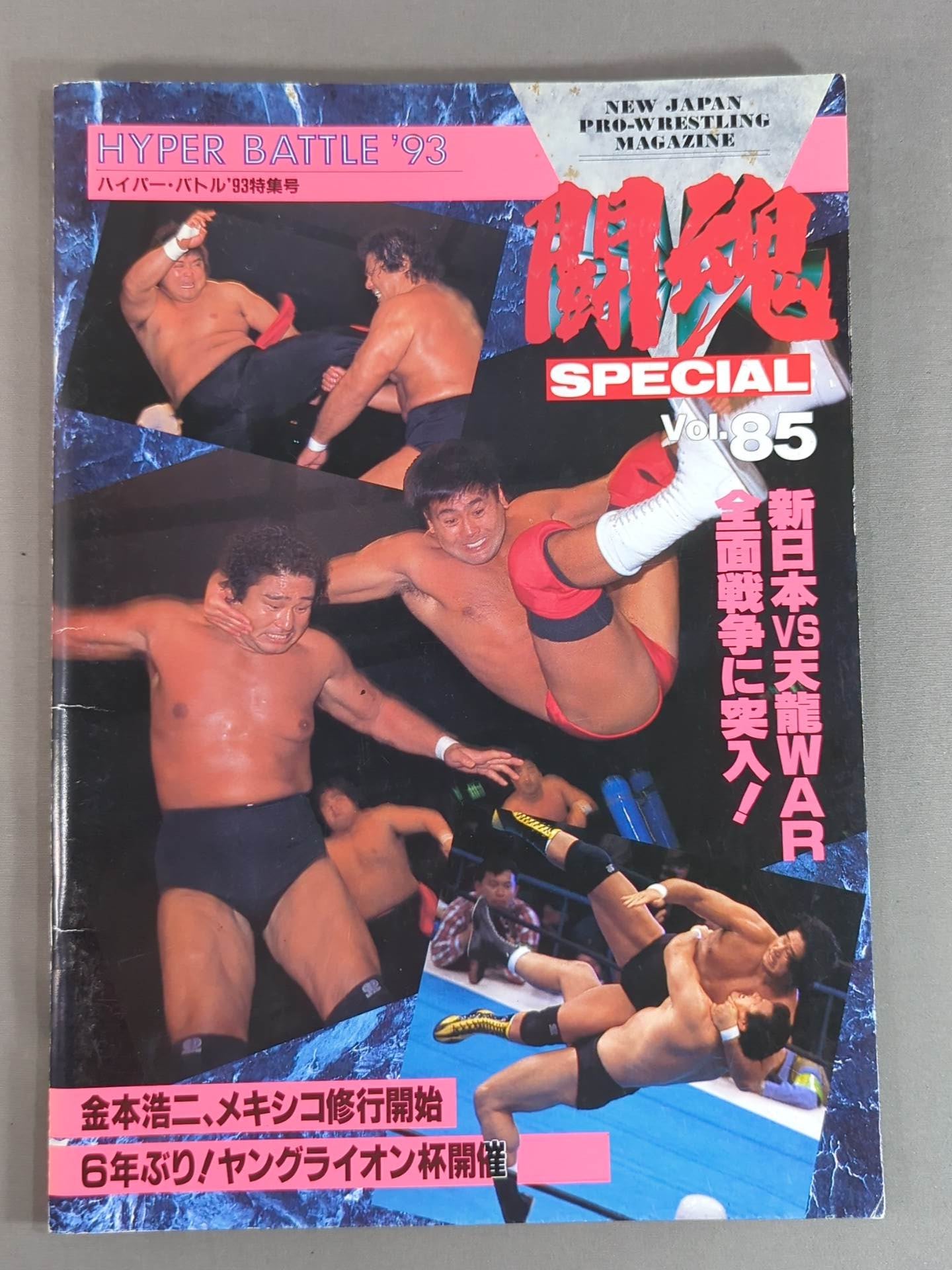 Fighting Spirit Special 85