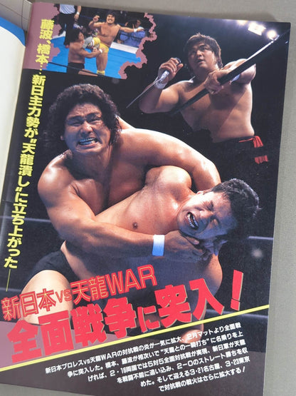Fighting Spirit Special 85