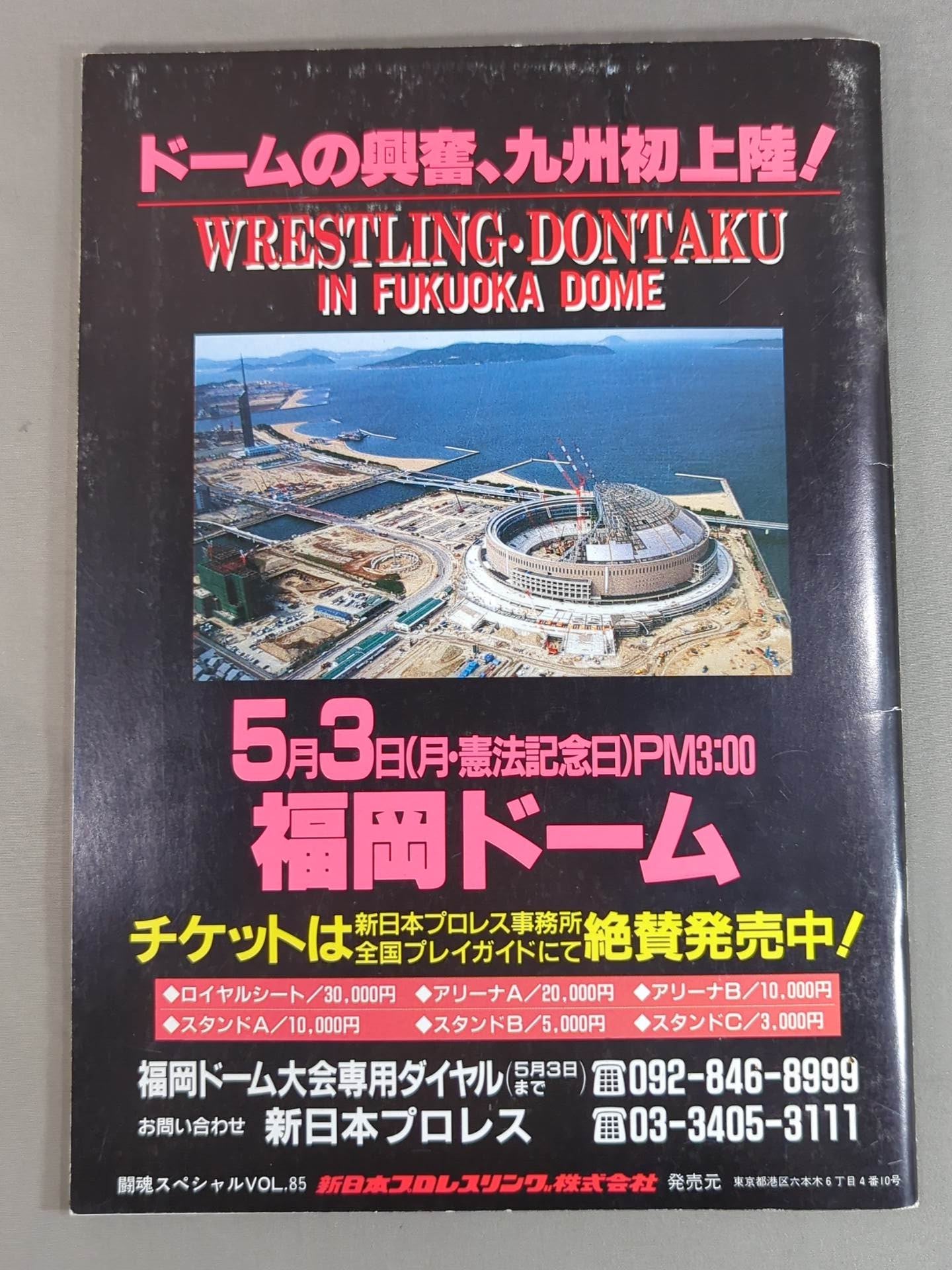 Fighting Spirit Special 85