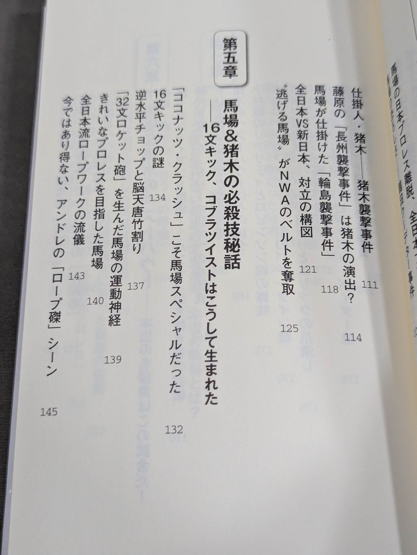 馬場・猪木をもっと語ろう!