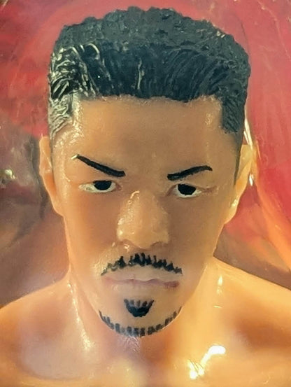 辰吉丈一郎(赤グローブ)