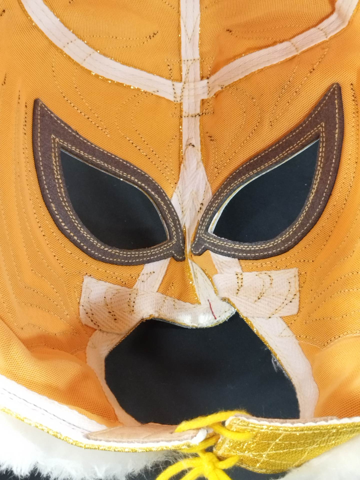 4代目タイガーマスク – 闘道館