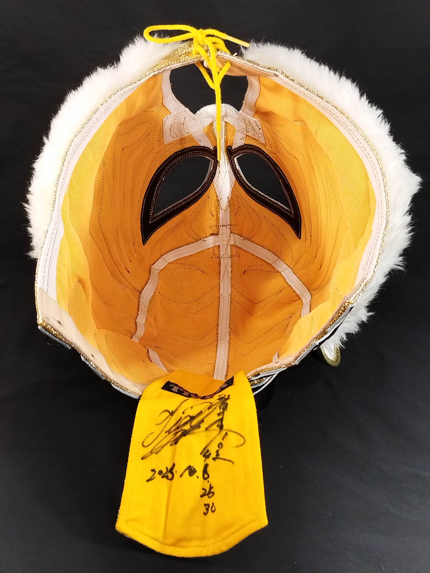 4代目タイガーマスク – 闘道館