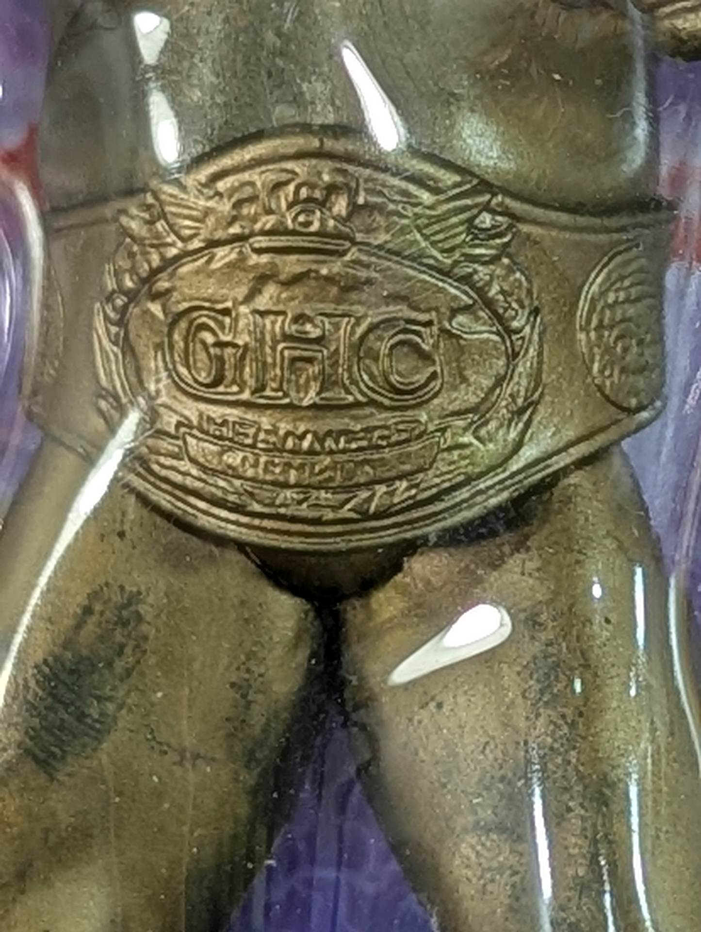 高山善廣 (GHCベルト・GHC台紙) ゴールド – 闘道館