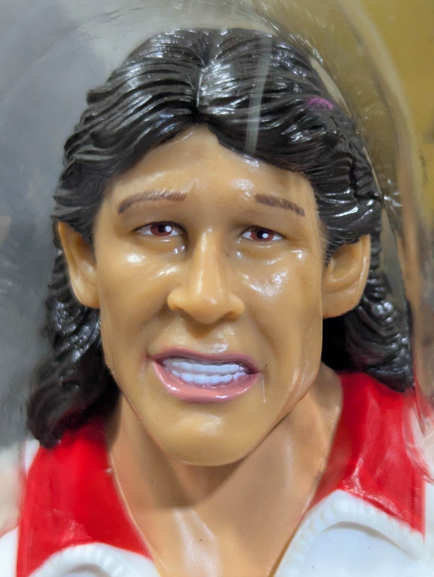 ストライク・フォース(ティト・サンタナ＆リック・マーテル)