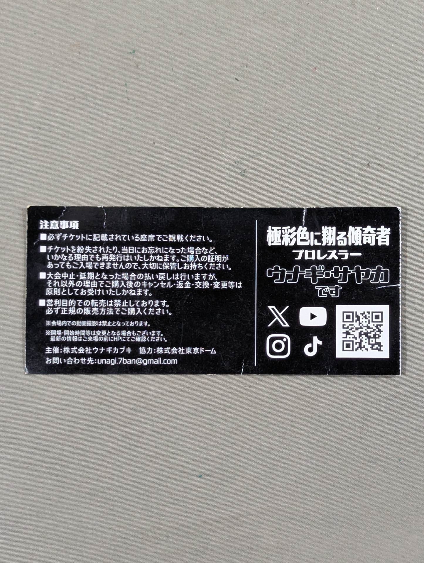 ウナギ・サヤカ 直筆サイン入り】殿はご乱心 ～夏のウナギ 赤の大合戦