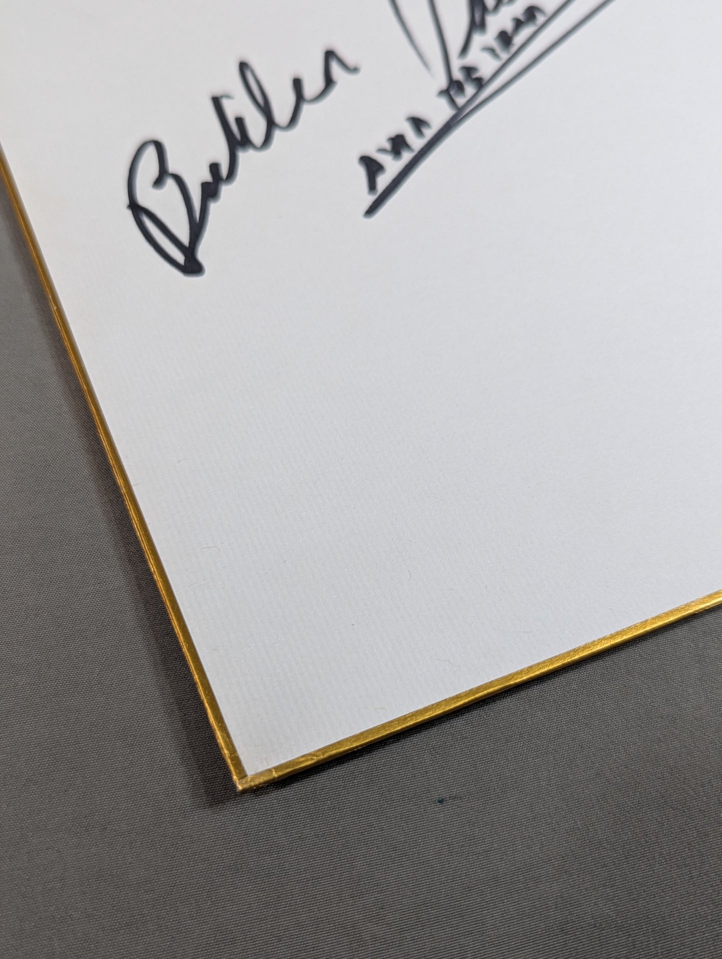 ブッチャー・バション