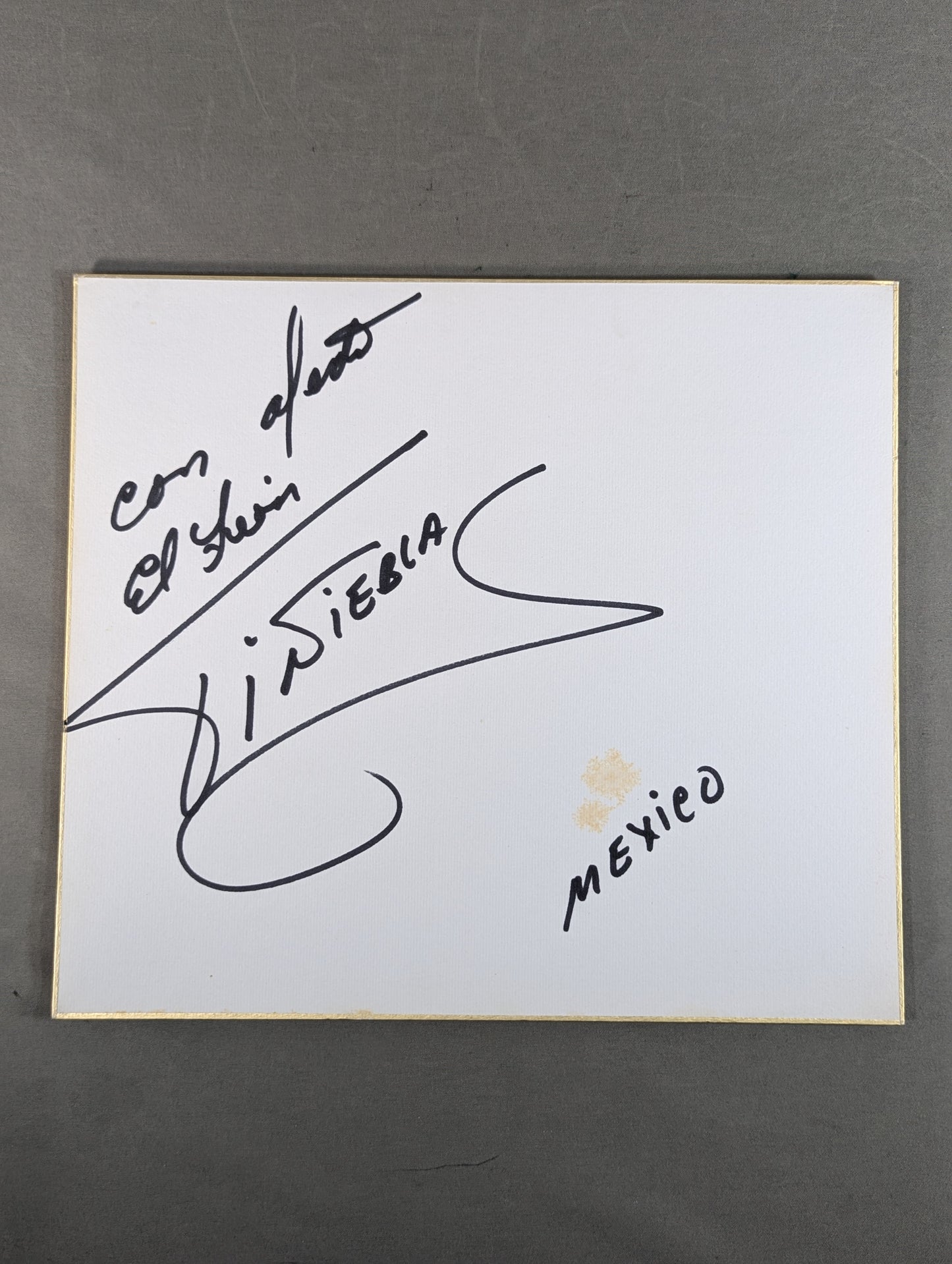 エル・レオン・ティニエブラス