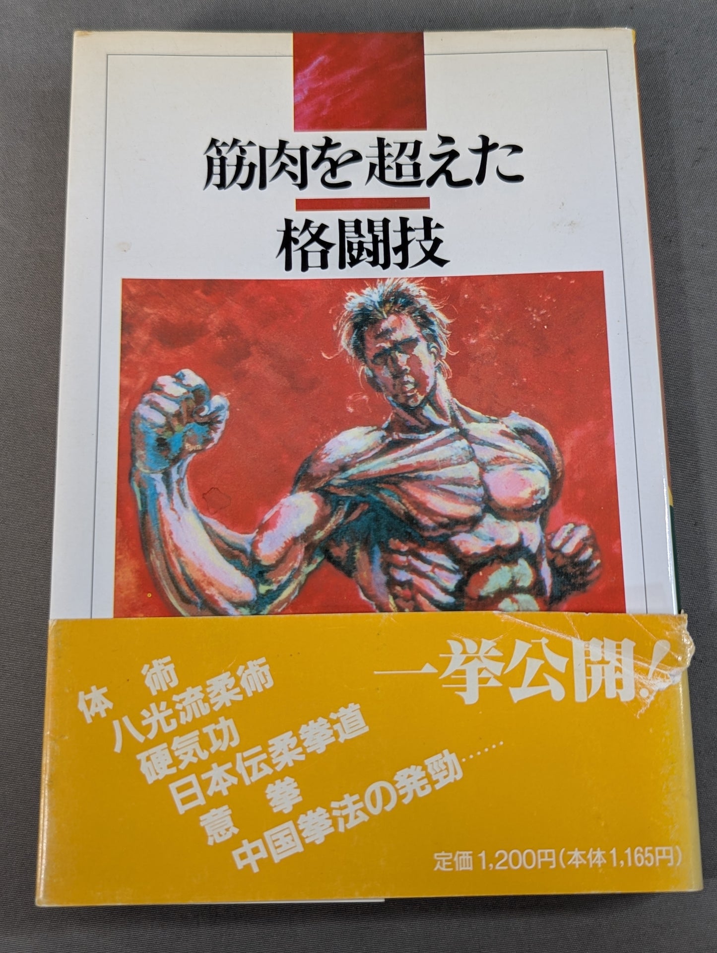筋肉を超えた格闘技