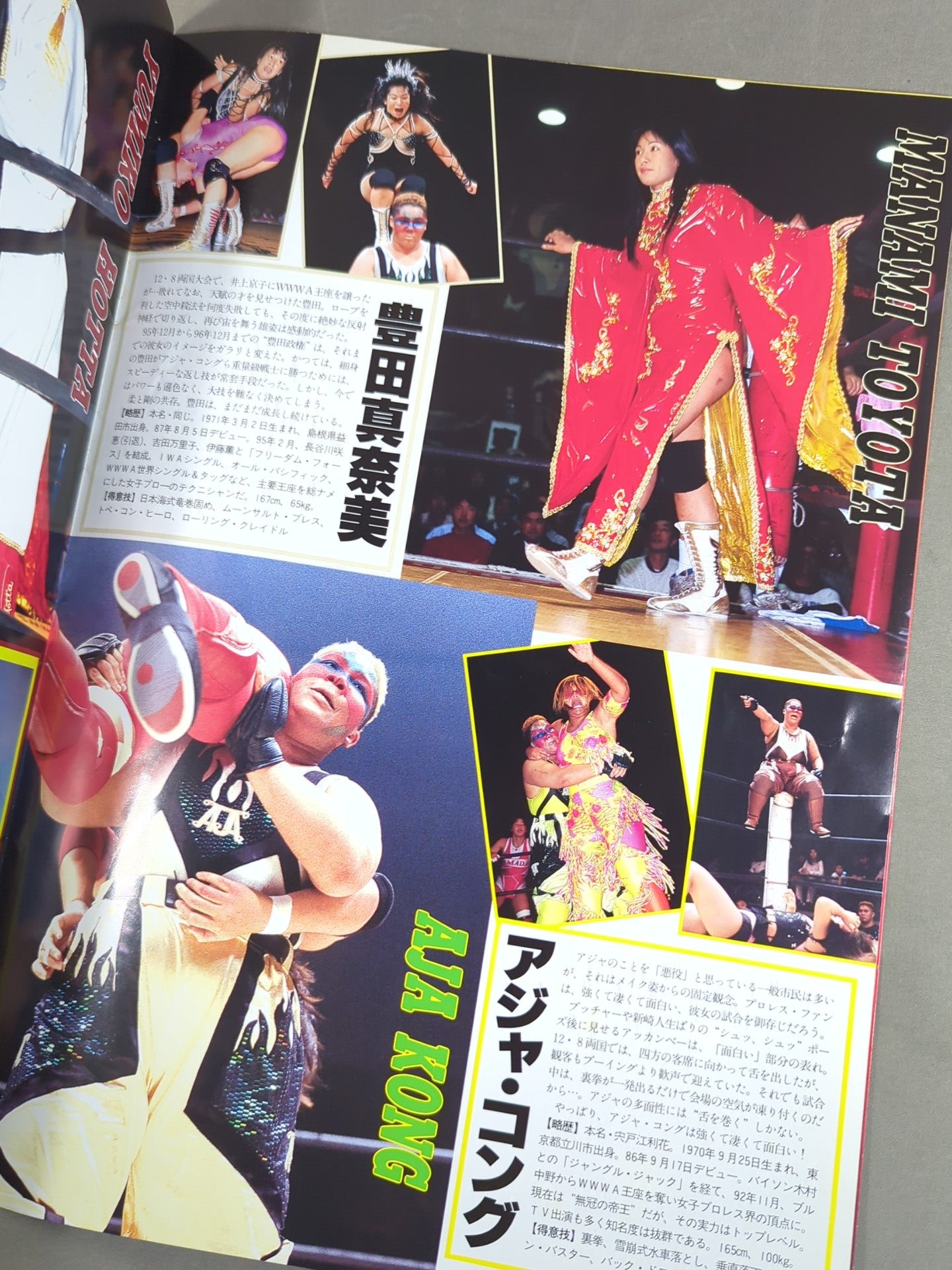 Ringstar PROGRAM All Japan Women\'s  PERFECTION'97