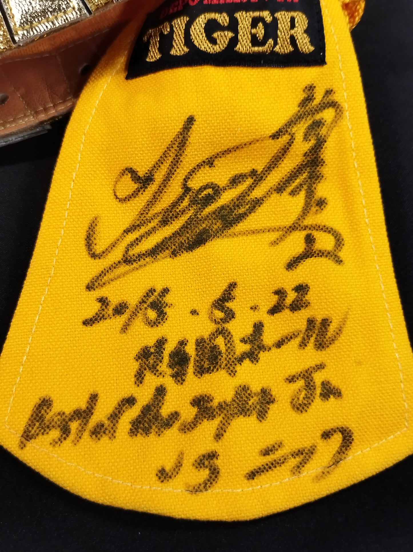 4代目タイガーマスク