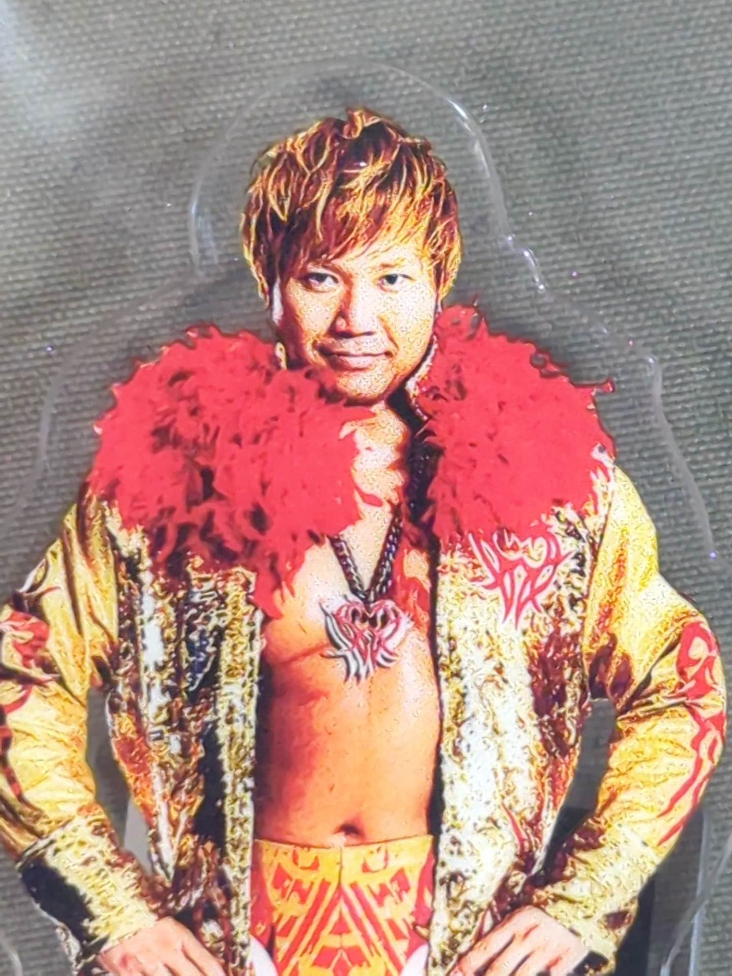 全日本プロレス 宮原健斗 まとめ売り 全日本プロレス 宮原健斗 まとめ売り 満場一致で最高のボヤキ三冠王者