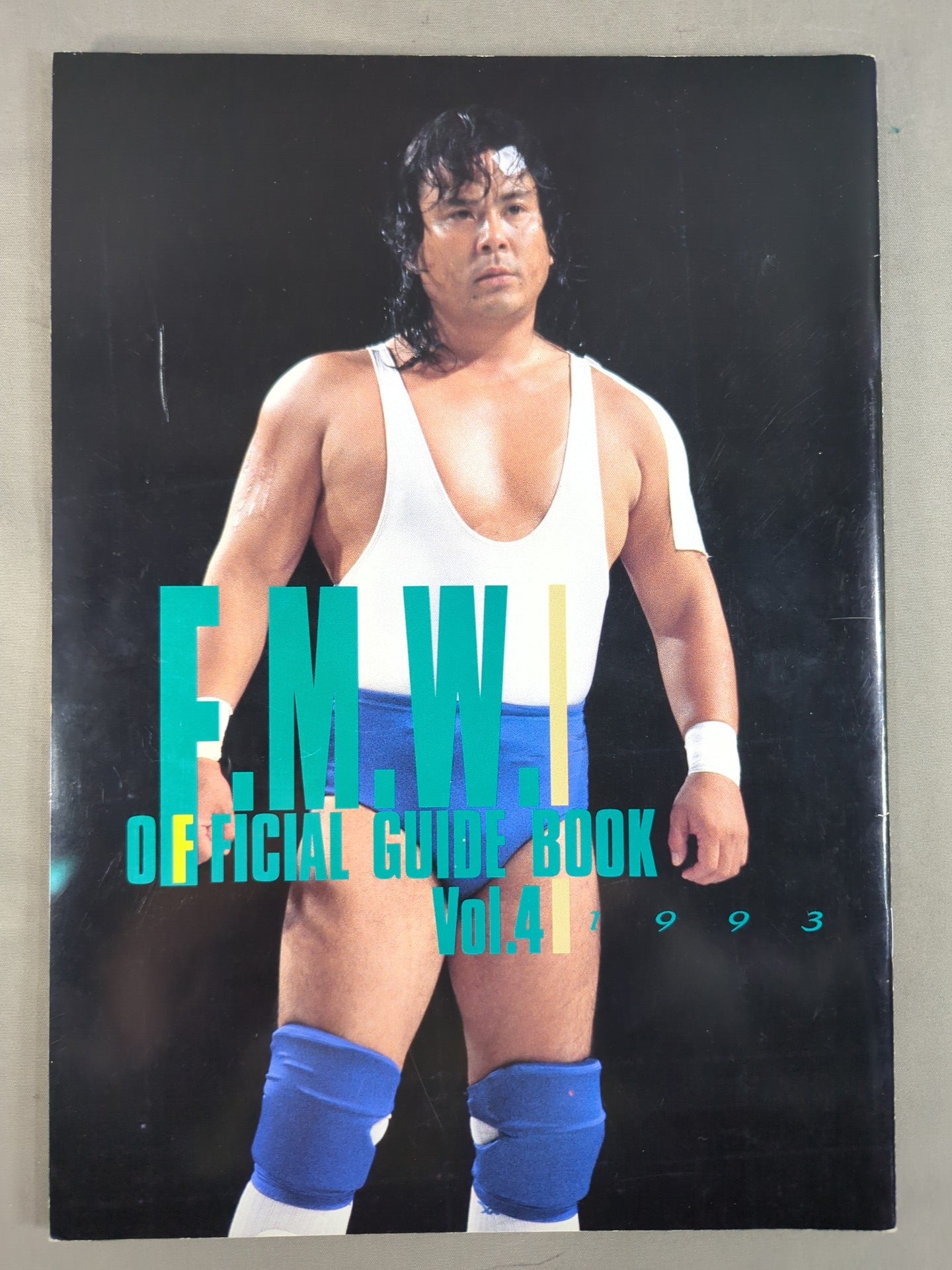 F.M.W. OFFICIAL GUIDE BOOK 1993 vol.4