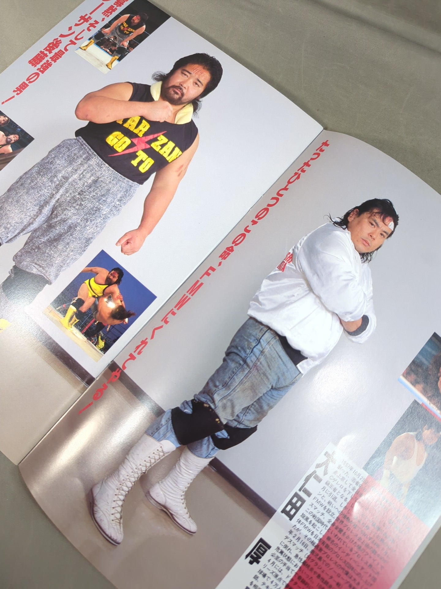 F.M.W. OFFICIAL GUIDE BOOK 1993 vol.4