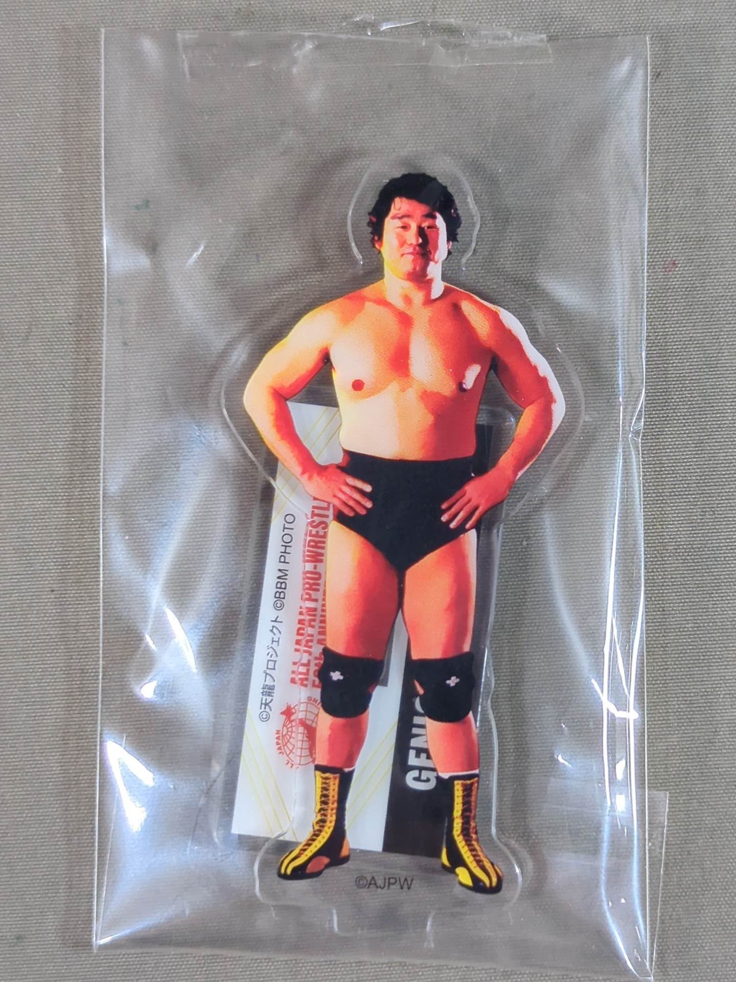 天龍源一郎 全日本プロレス50周年 アクリルスタンド(A)