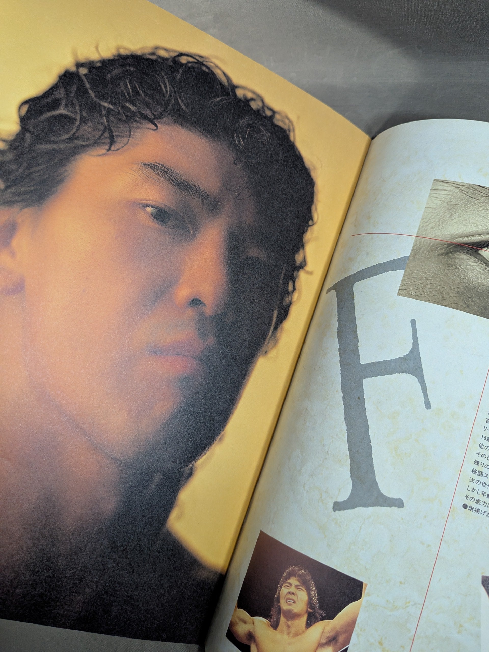 パンクラス / HYBRID Vol.1 EYES OF BEAST PANCRASE TOUR 1995 – 闘道館