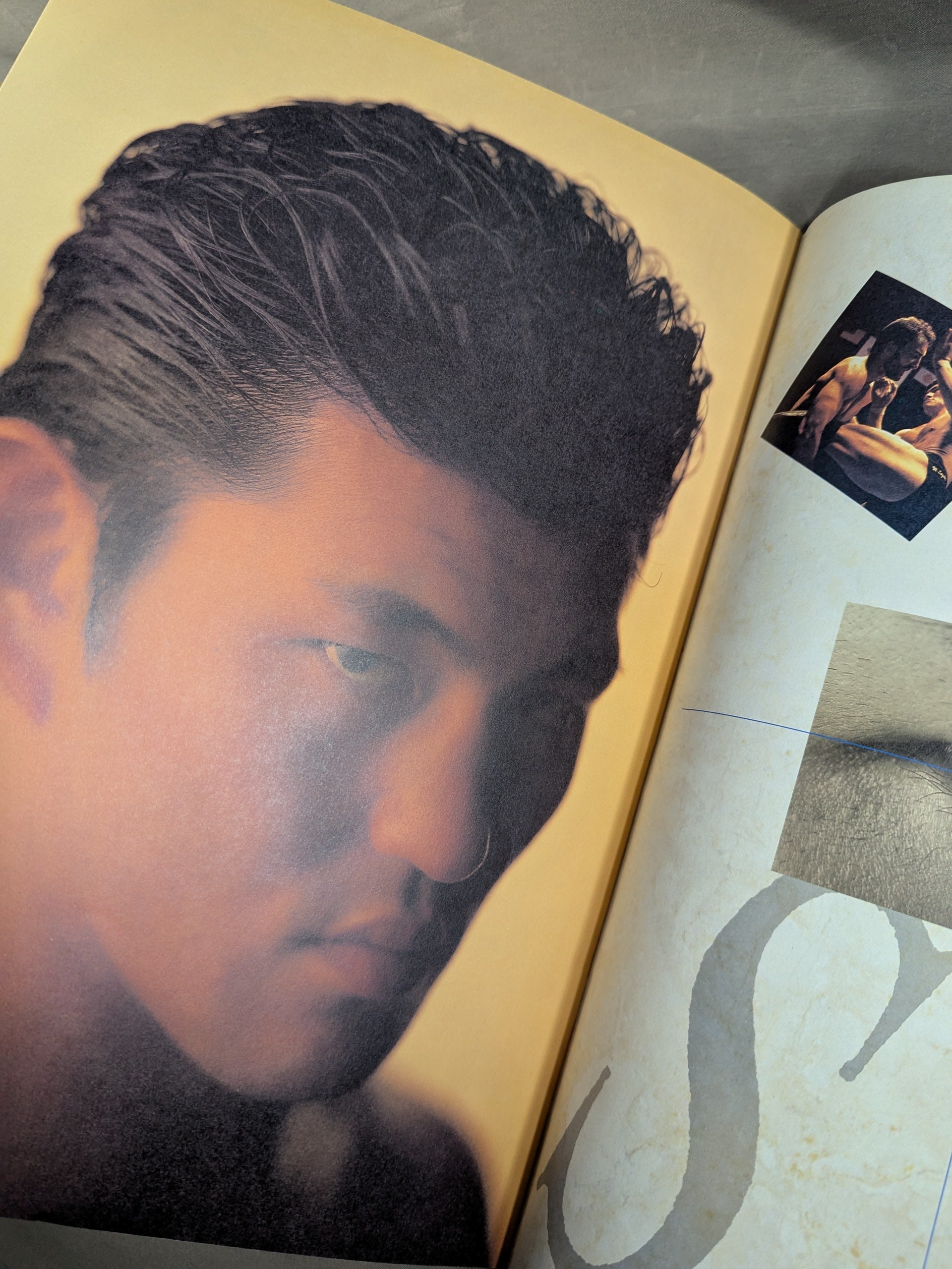 パンクラス / HYBRID Vol.1 EYES OF BEAST PANCRASE TOUR 1995 – 闘道館