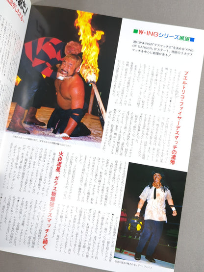 Wing Magazine Vol.2 1993