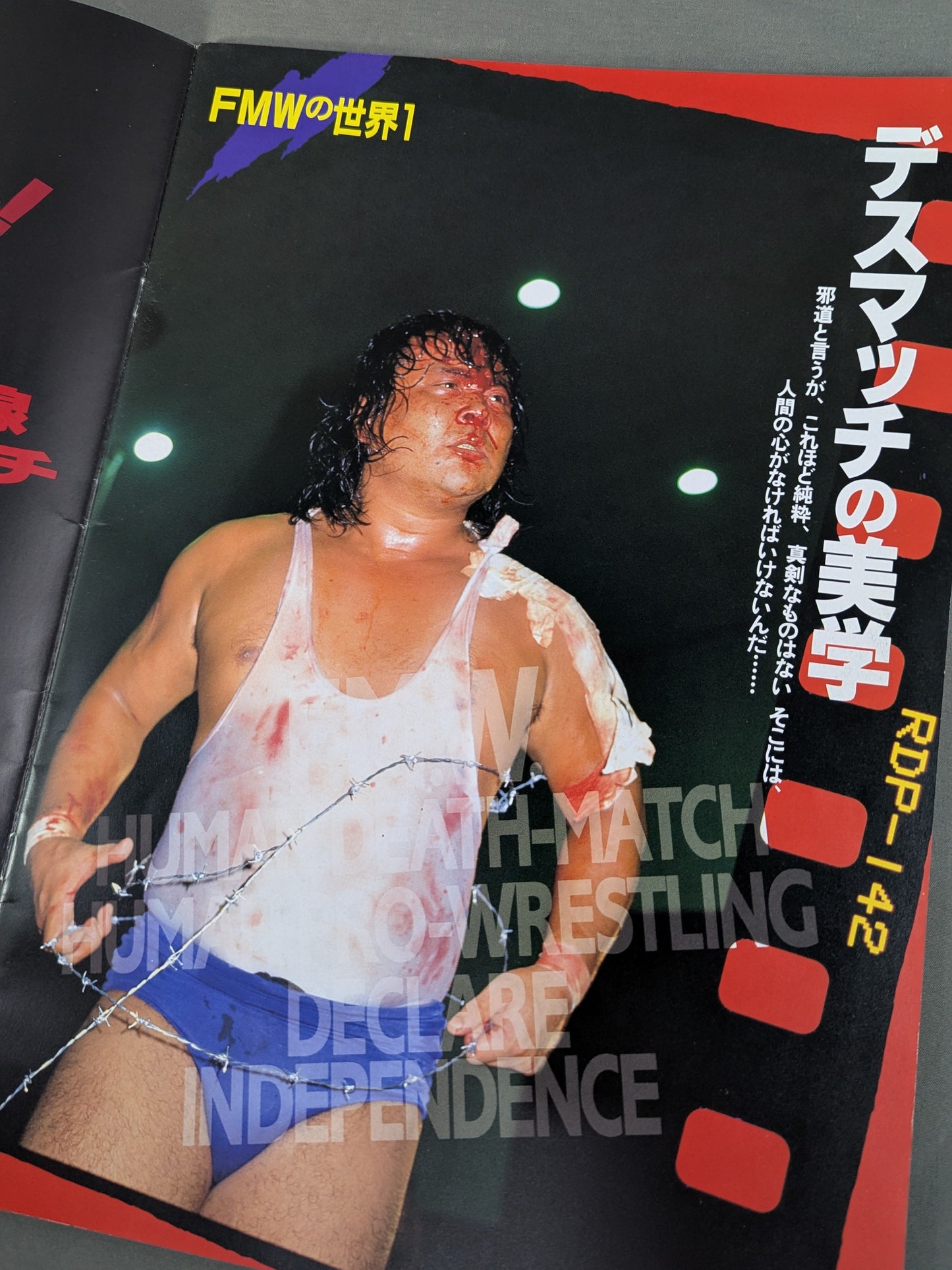 FMW / Kawasaki Gekiba