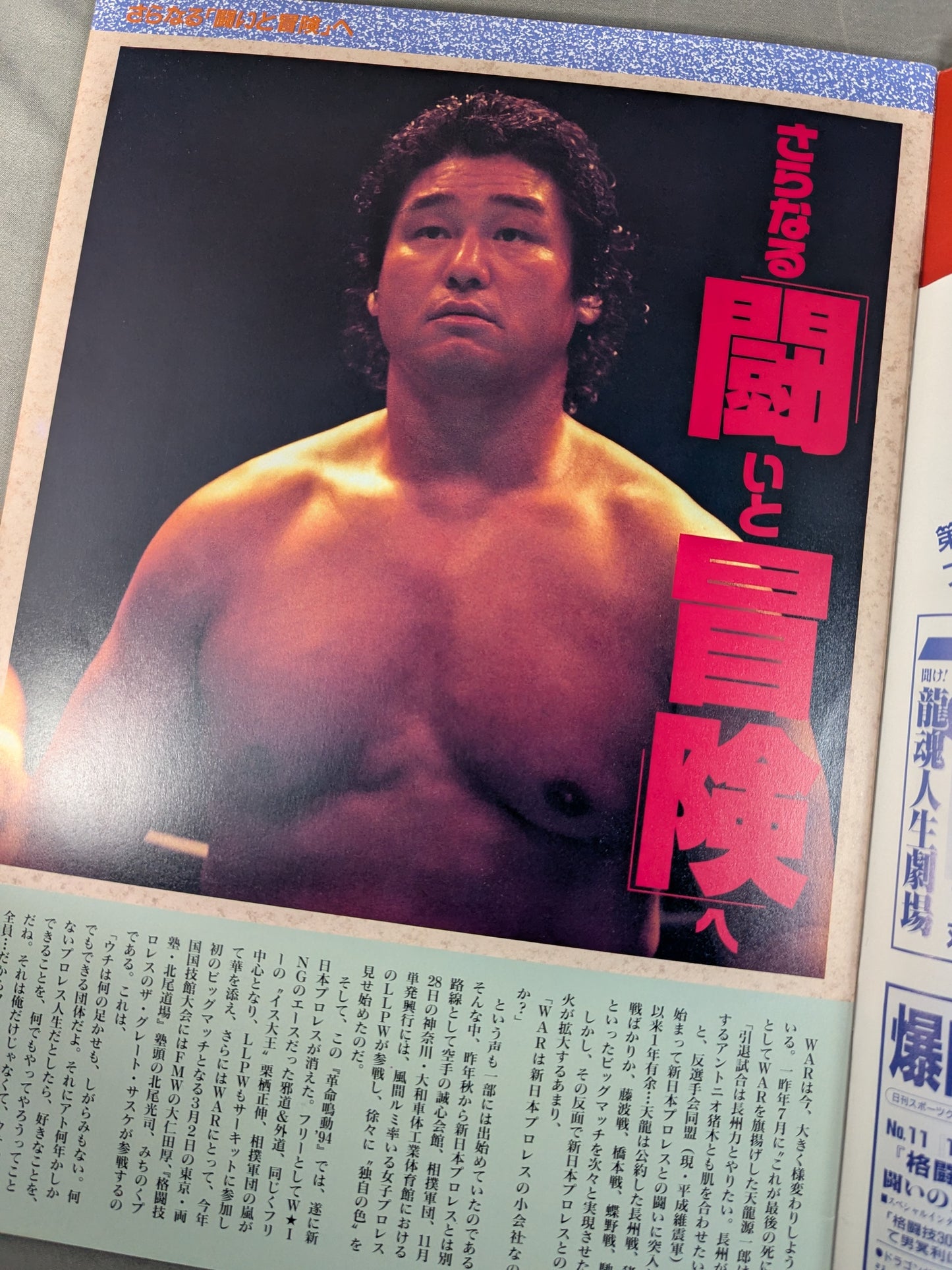 革命鳴動 ’94