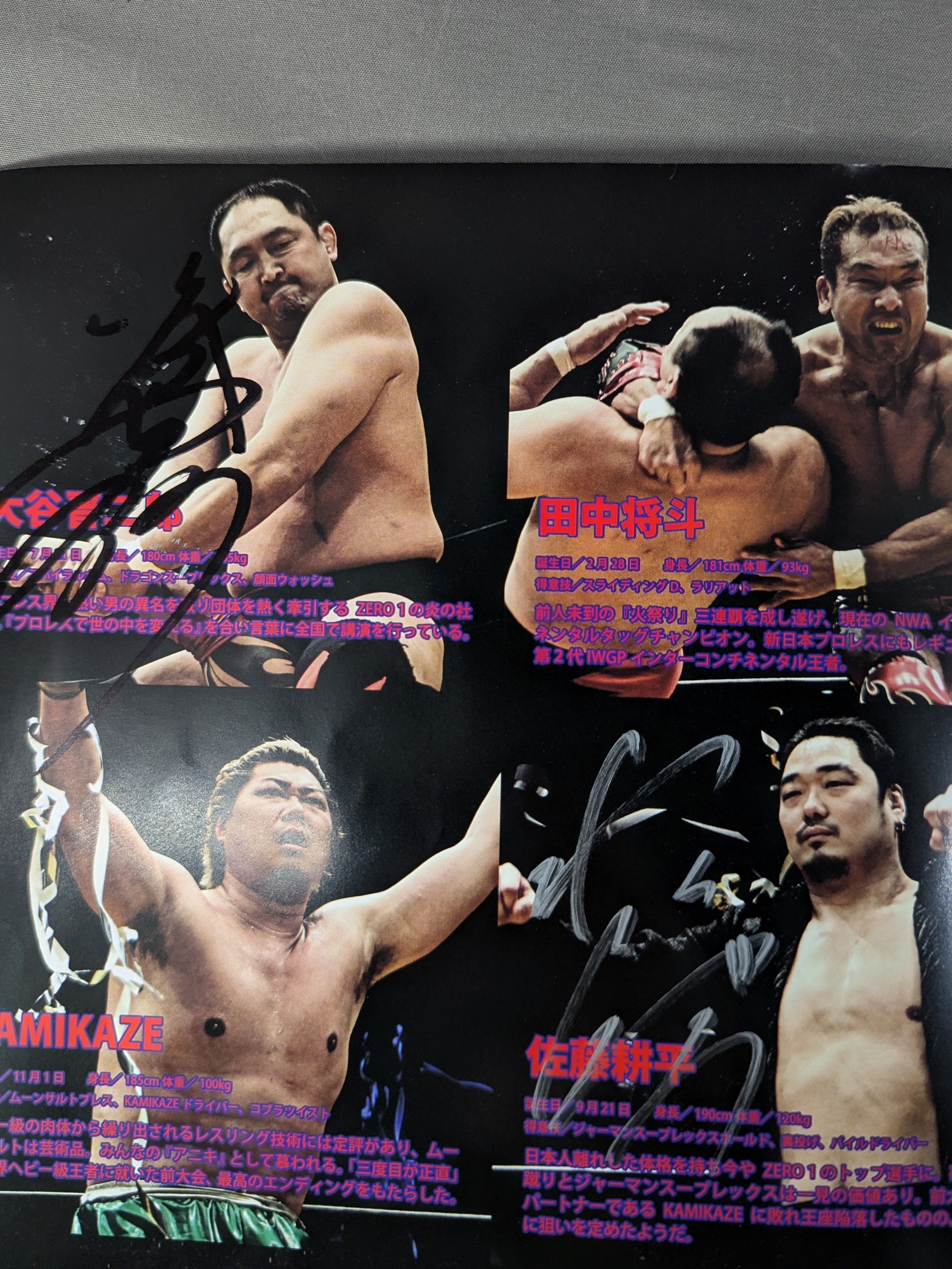 わんちゃんおいでよ、撫でてあげるから ロッキー 複製原画　直筆サイン入り 7選手直筆サイン入り】ZERO1 FIGHTING ATHLETE OFFICIAL PAMPHLET – 闘道館