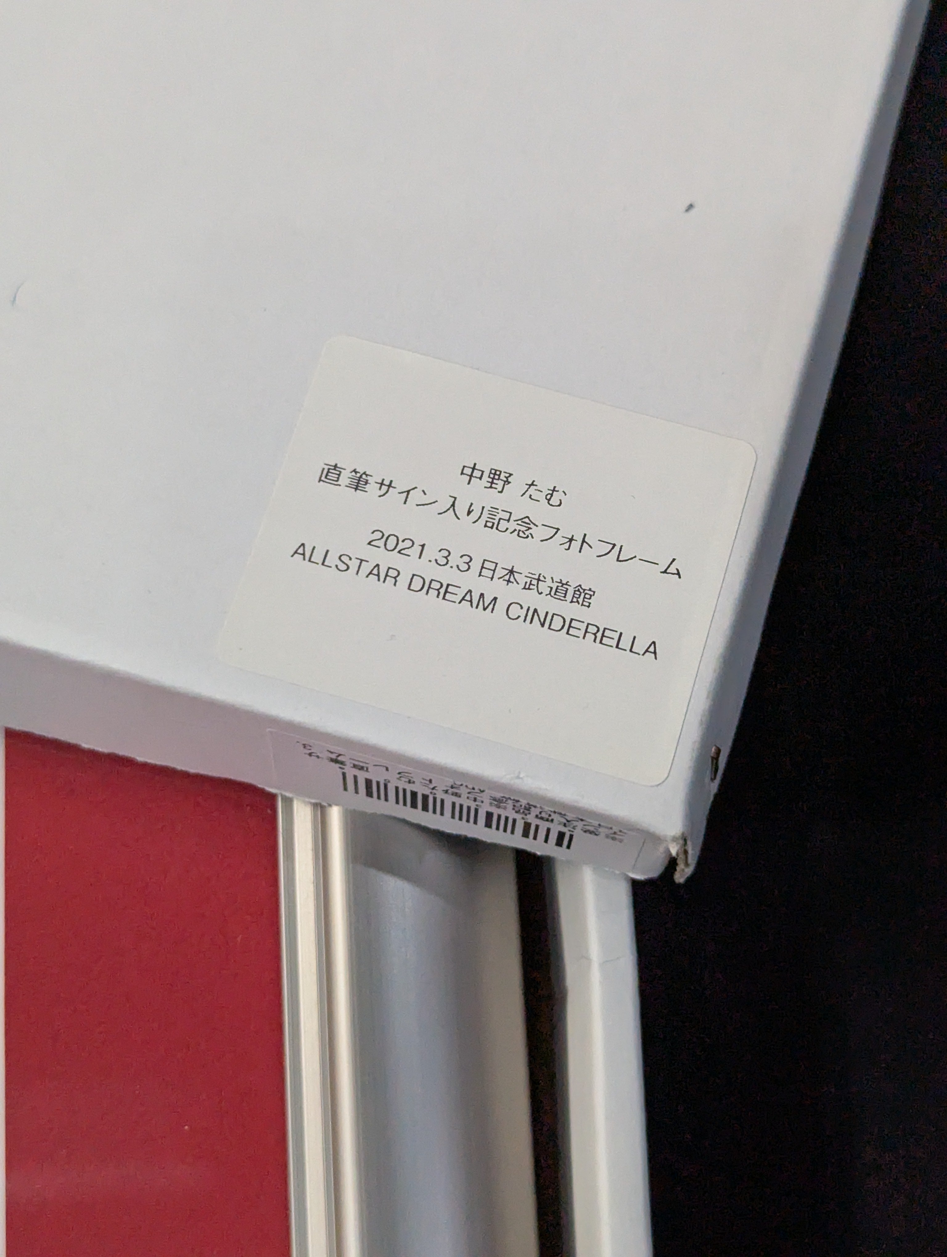 ☆敗者髪切り☆ 中野たむ 直筆サイン入り 記念フォトフレーム – 闘道館
