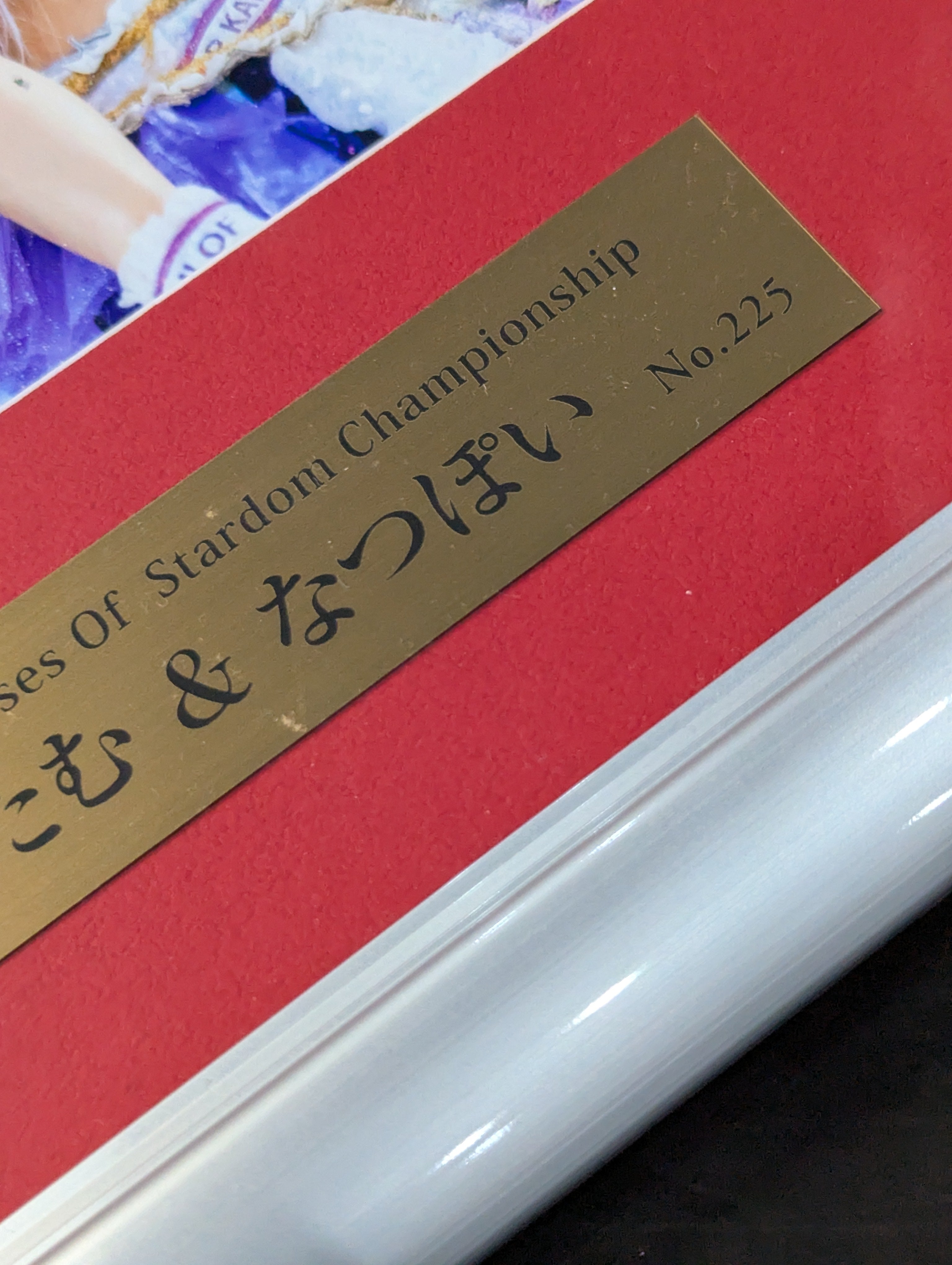 Stardom 中野たむ & なつぽい 直筆サイン入り 記念フォトフレーム 中野たむ＆なつぽい 直筆Wサイン入り 記念フォトフレーム Goddesses Of