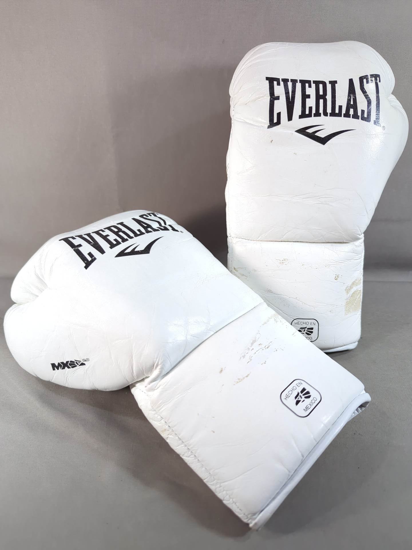EVERLAST MX2ファイトグローブ