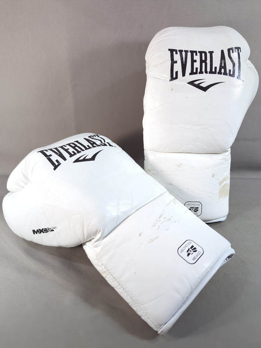 EVERLAST MX2ファイトグローブ