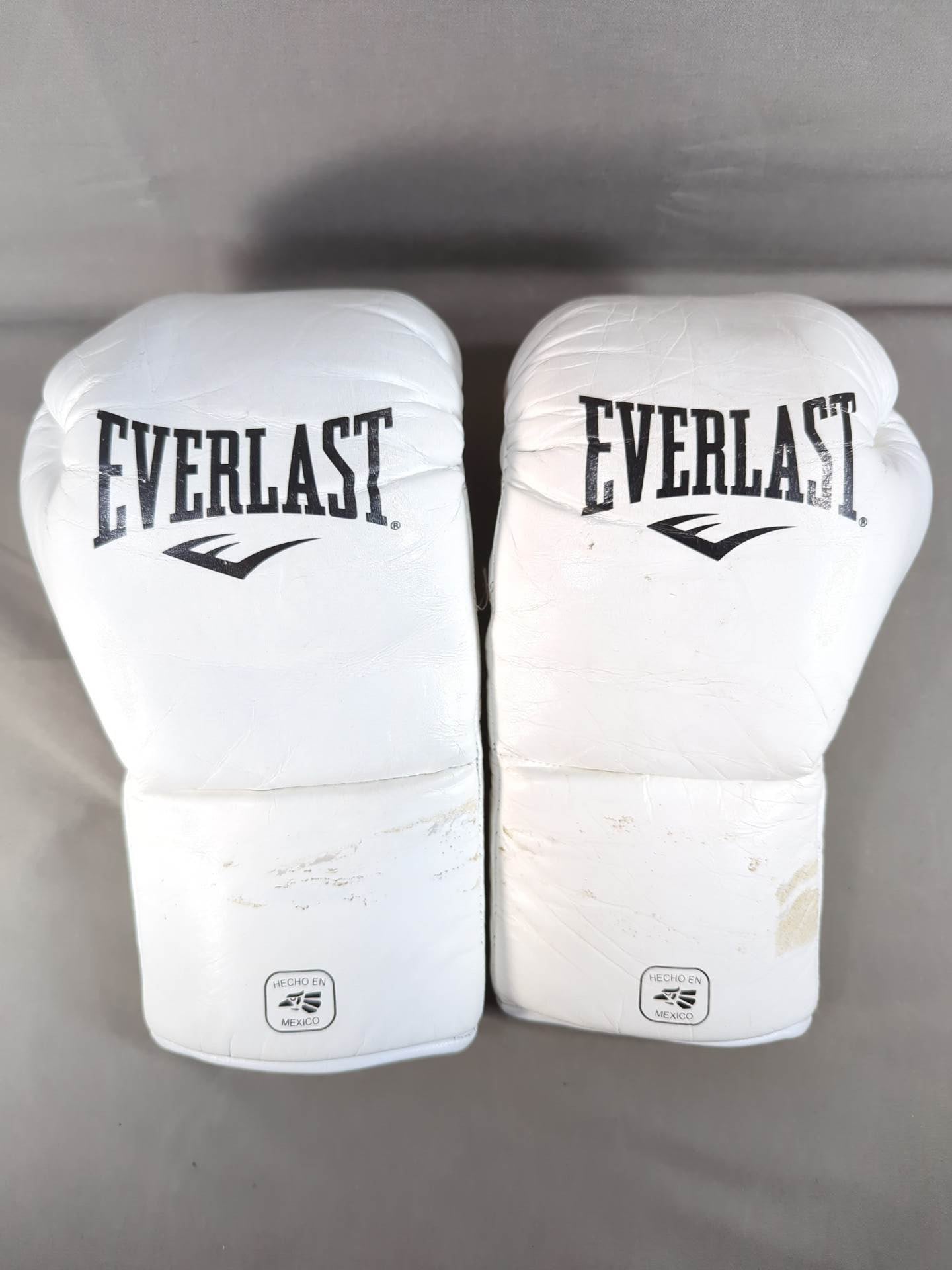 EVERLAST MX2ファイトグローブ