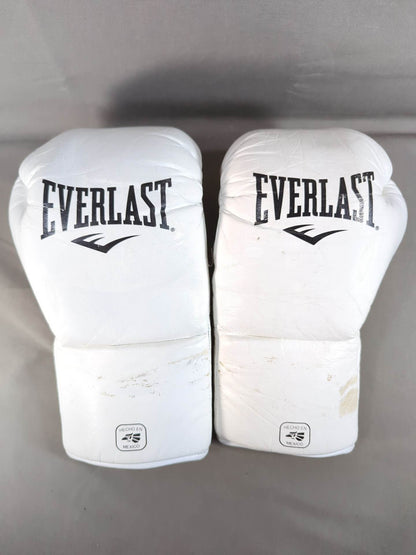 EVERLAST MX2ファイトグローブ