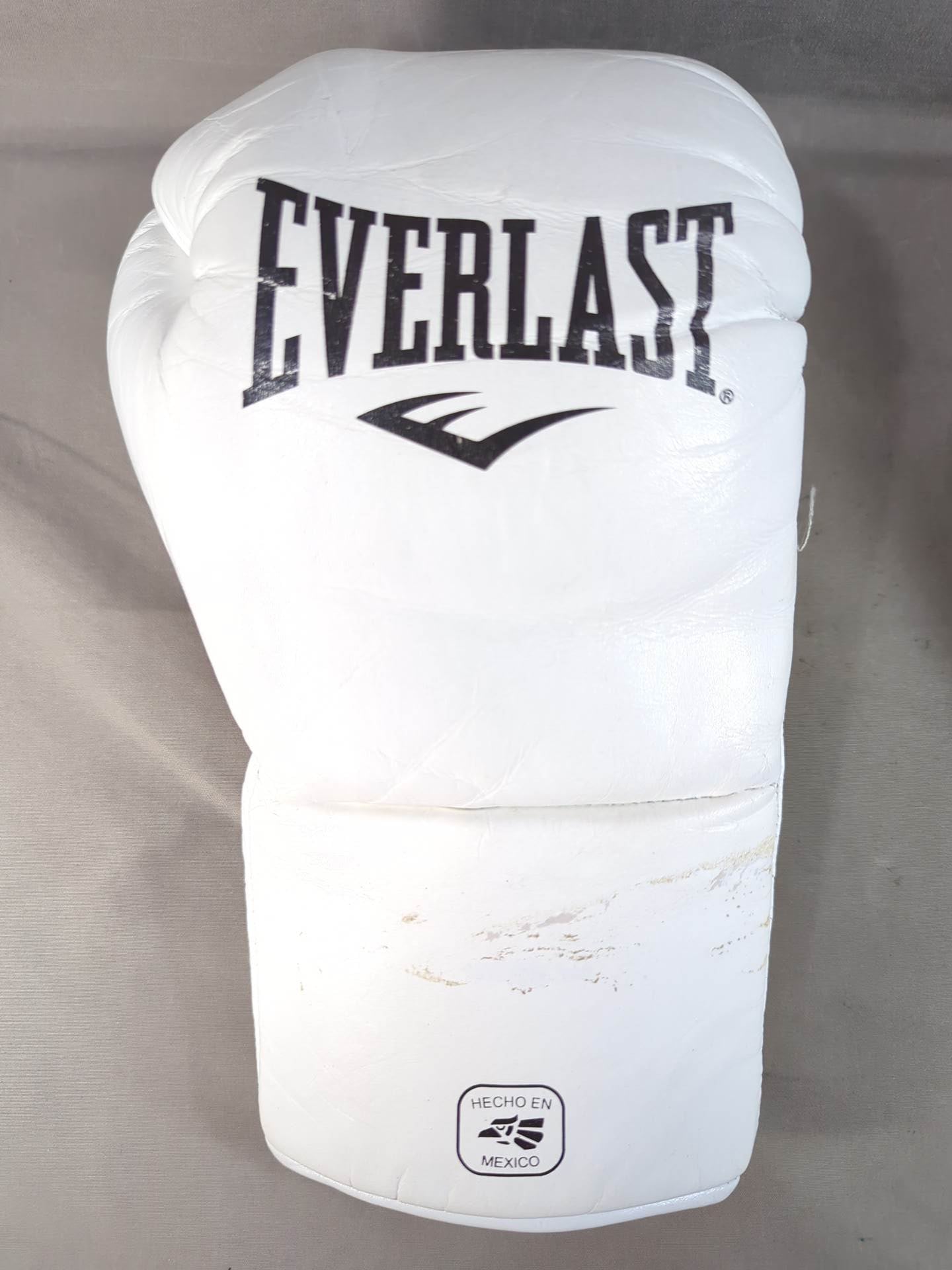 EVERLAST MX2ファイトグローブ