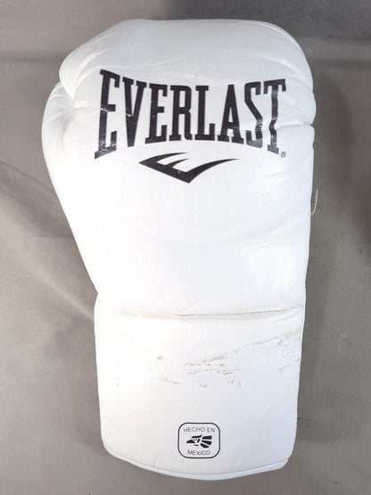 EVERLAST MX2ファイトグローブ