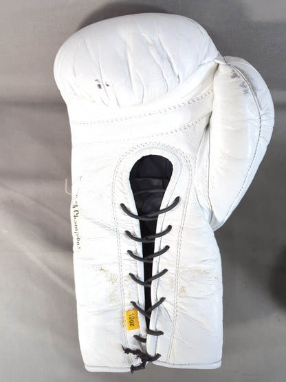 EVERLAST MX2ファイトグローブ