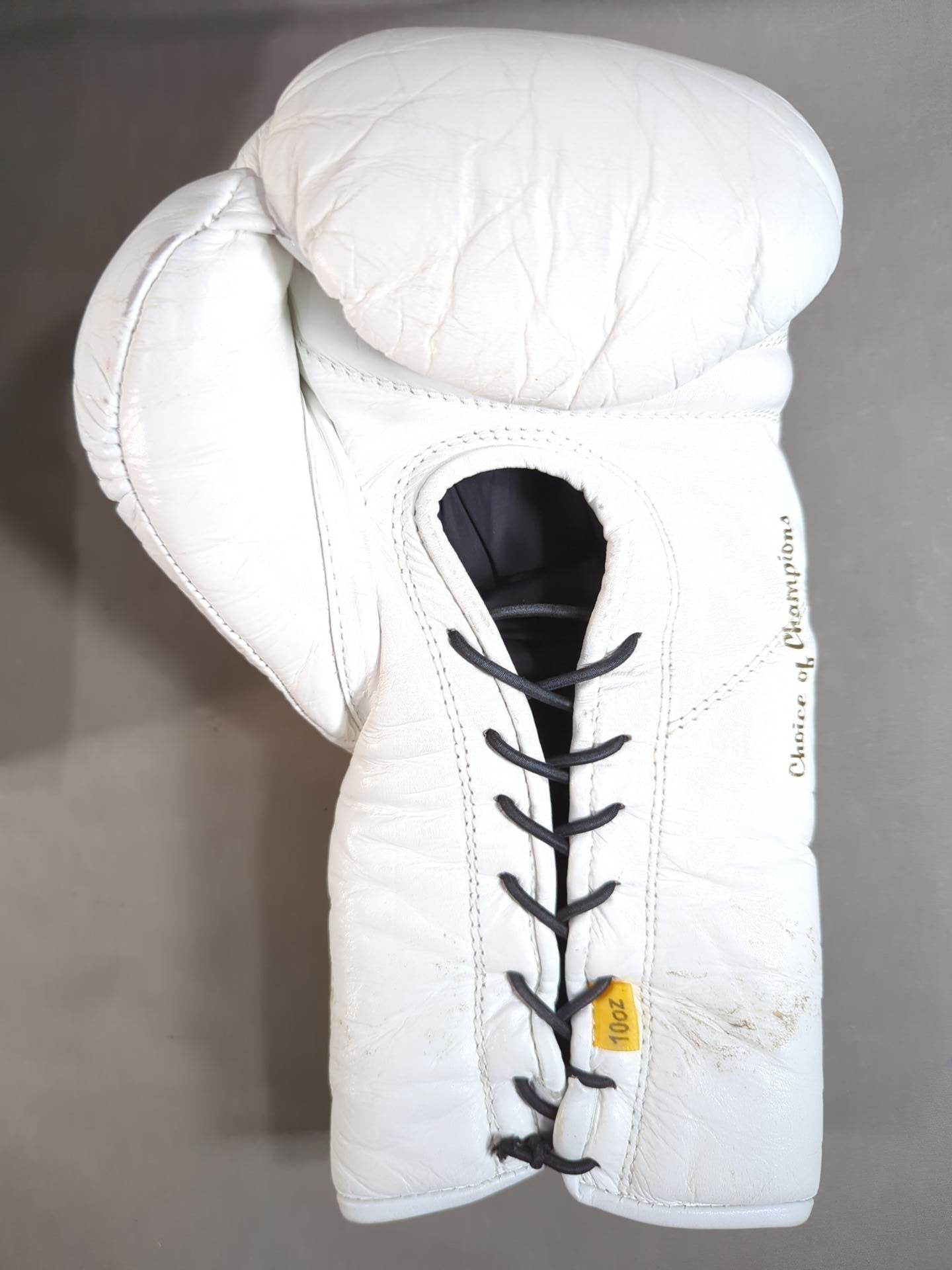 EVERLAST MX2ファイトグローブ