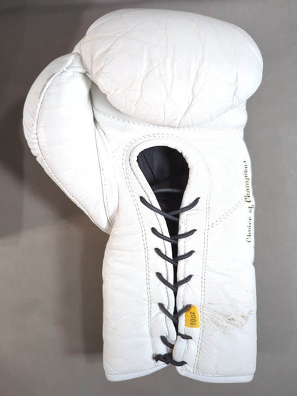 EVERLAST MX2ファイトグローブ