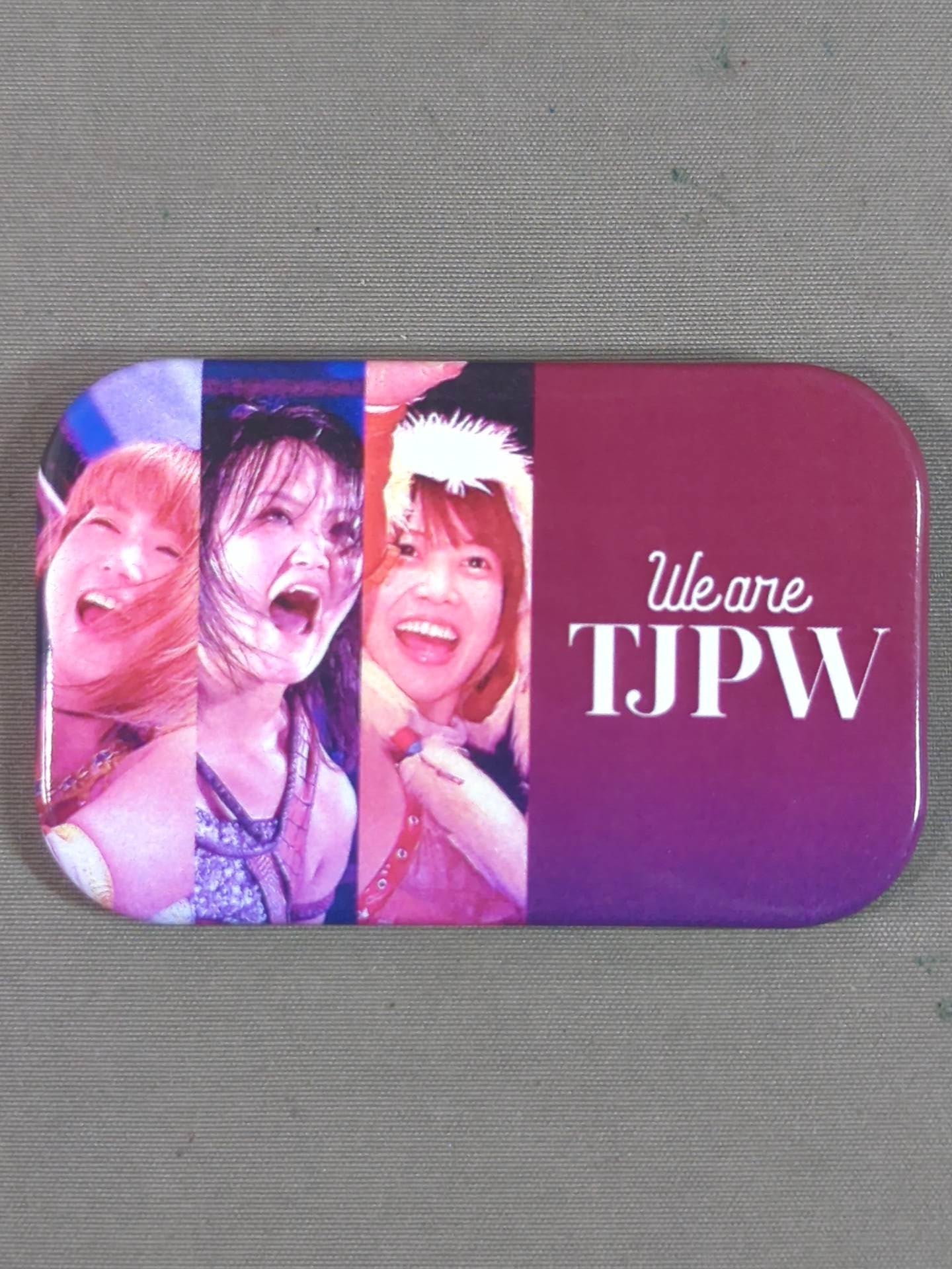Tokyo Joshi Pro Wrestling  "We are TJPW" PinBack button 