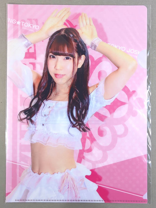 Mizuki  Tokyo Joshi Pro Wrestling  lottery plastic file folder 
