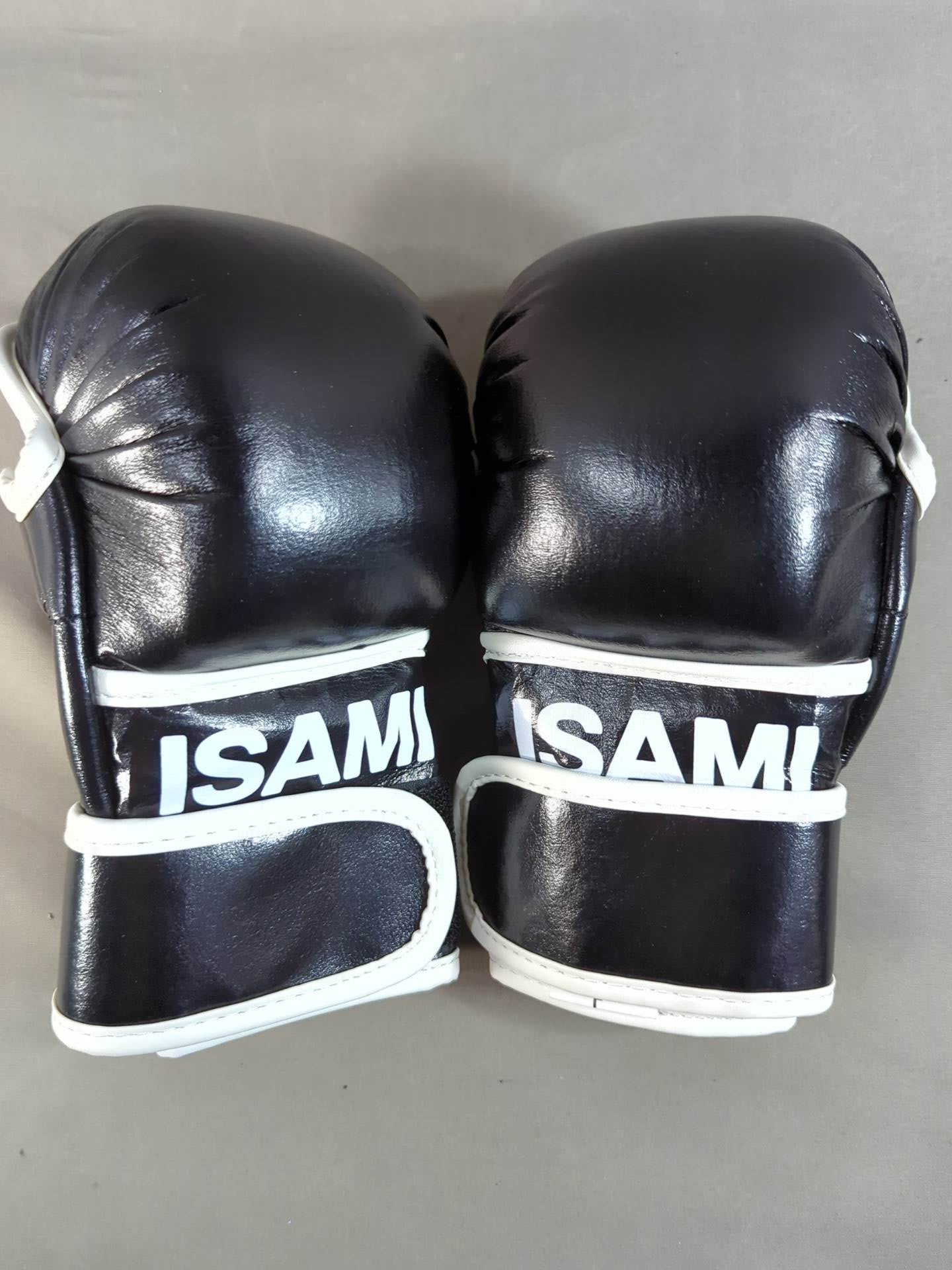 ISAMI ボクシンググローブ 黒 パウンドグローブ ISAMI パウンドグローブ – 闘道館