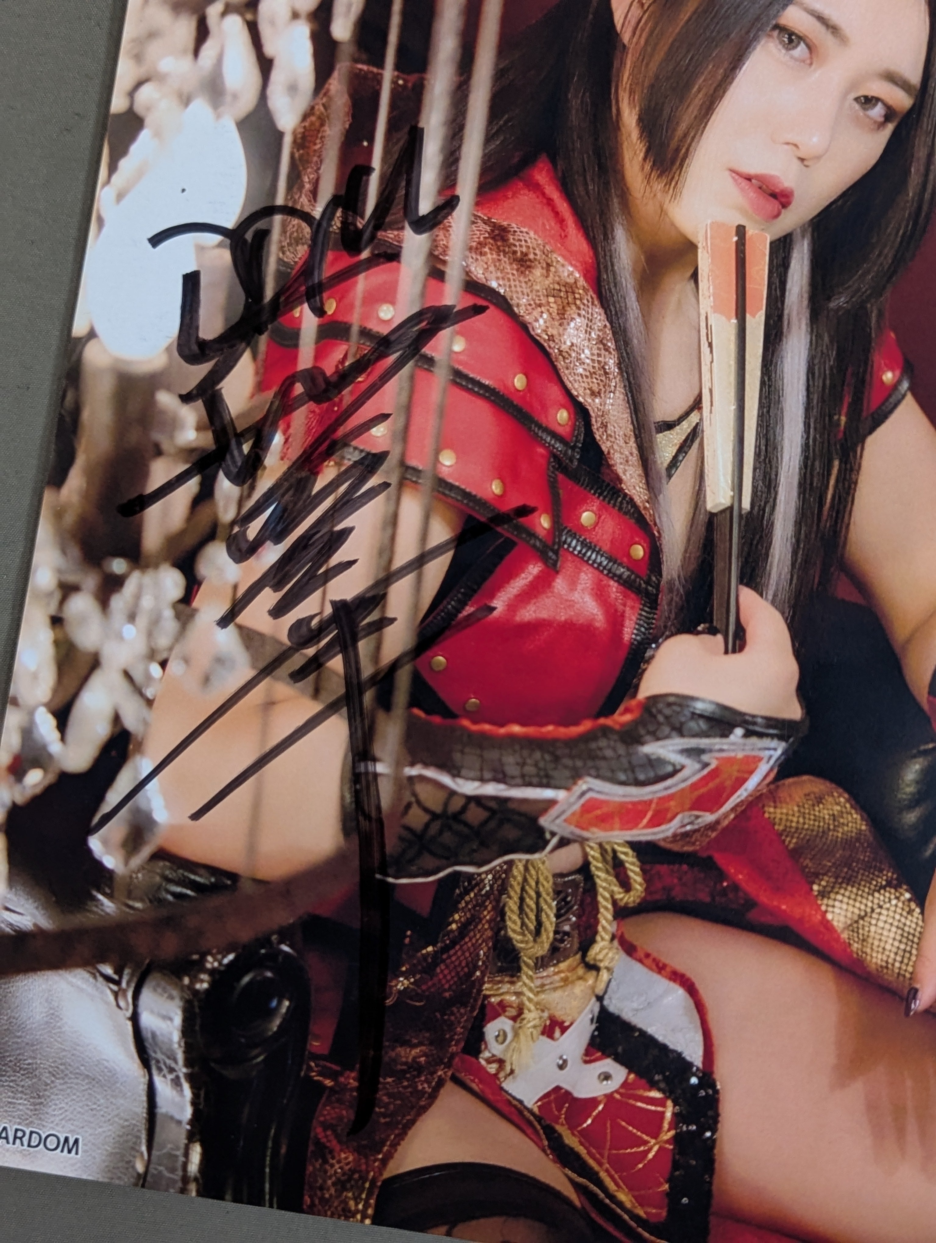 舞華 直筆サイン入り スターダムポートレート(R-3) – 闘道館