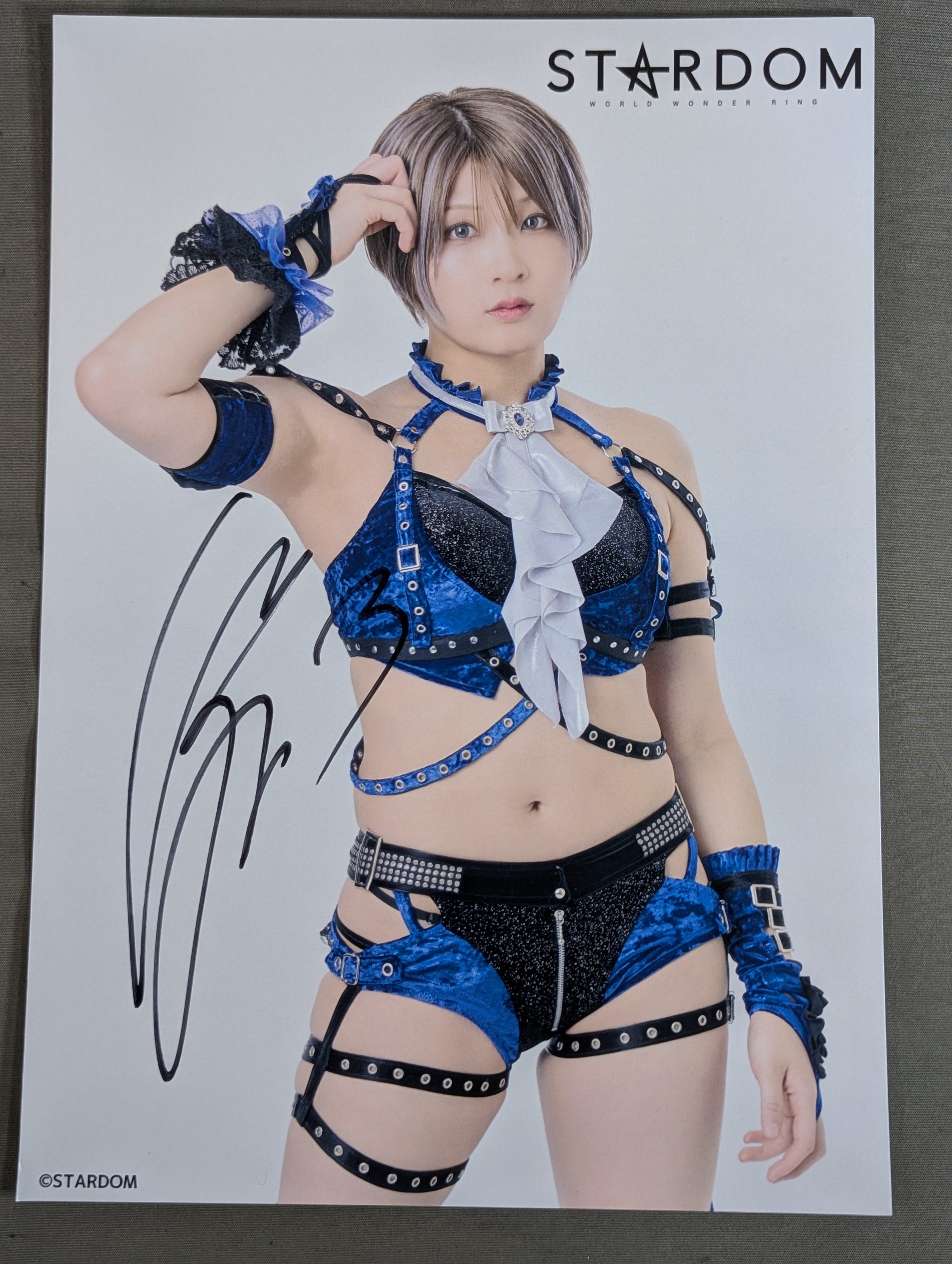 安納サオリ 直筆サイン入り スターダムポートレート(D-2) – 闘道館