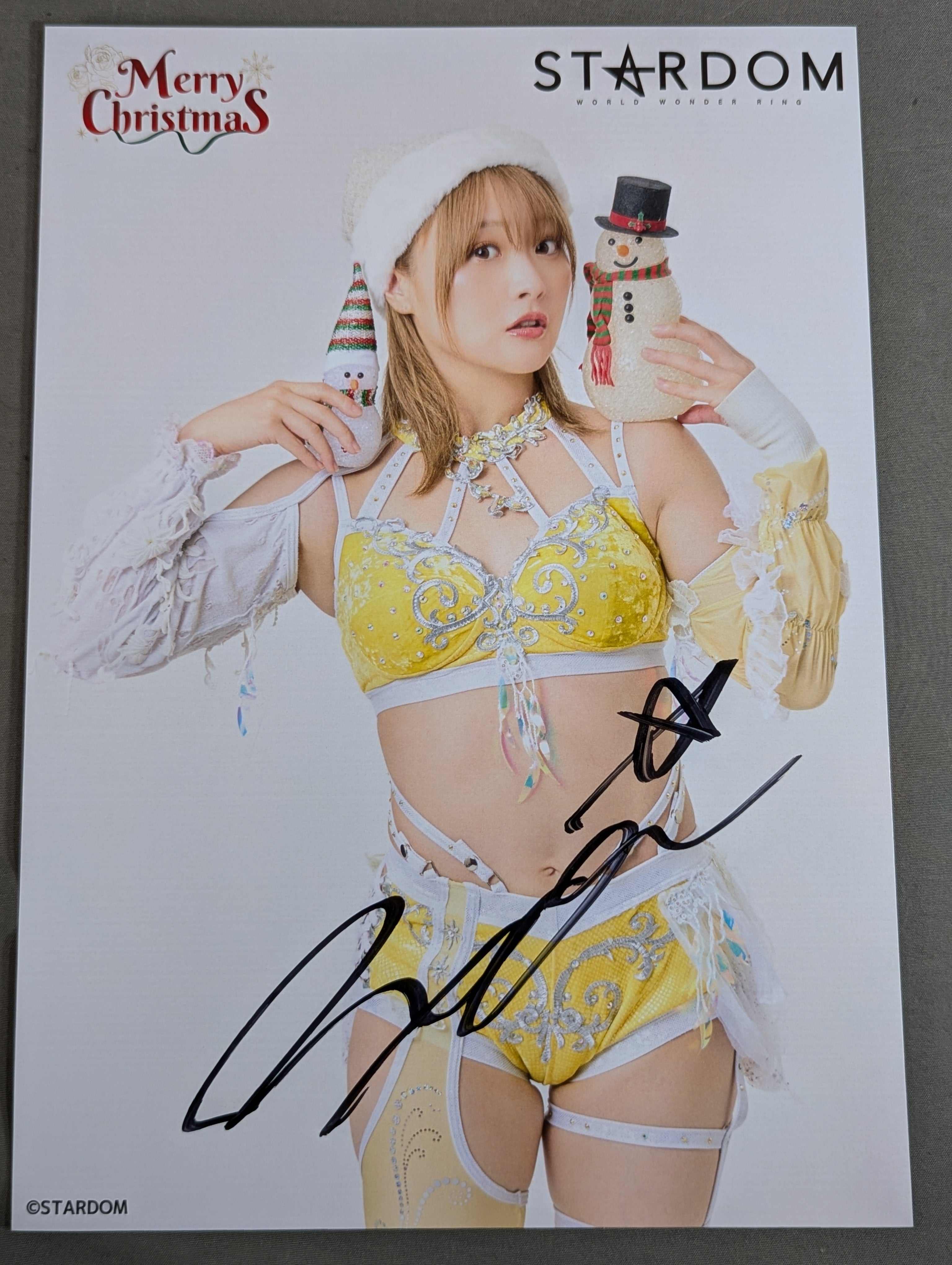 スターダム　なつぽい選手　直筆サイン入り写真集 なつぽい 直筆サイン入り スターダムポートレート(ぽいフェス ①) – 闘道館