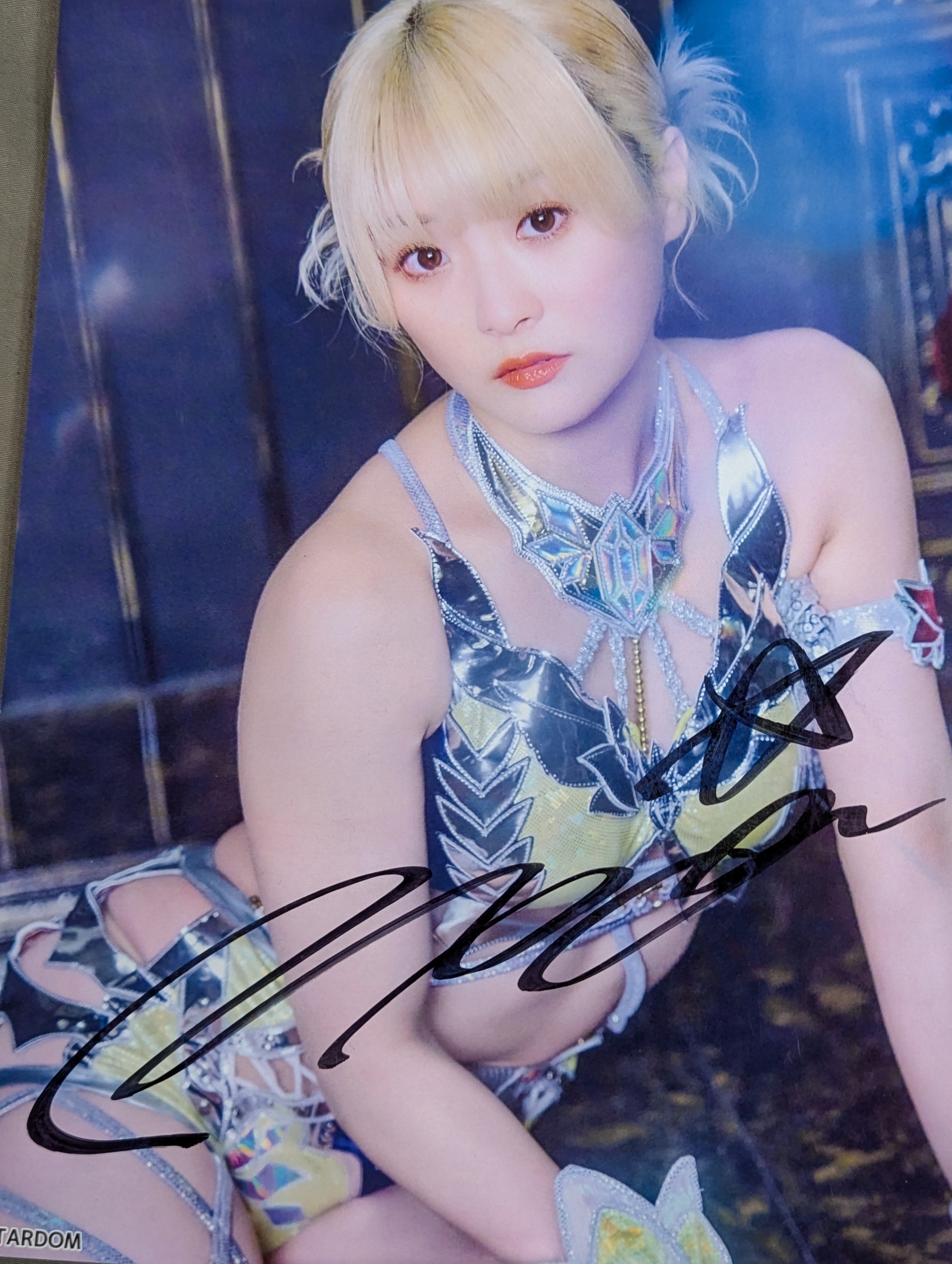 スターダム　なつぽい選手　直筆サイン入り写真集 スターダム なつぽい選手 直筆サイン入り写真集 スターダム なつぽい