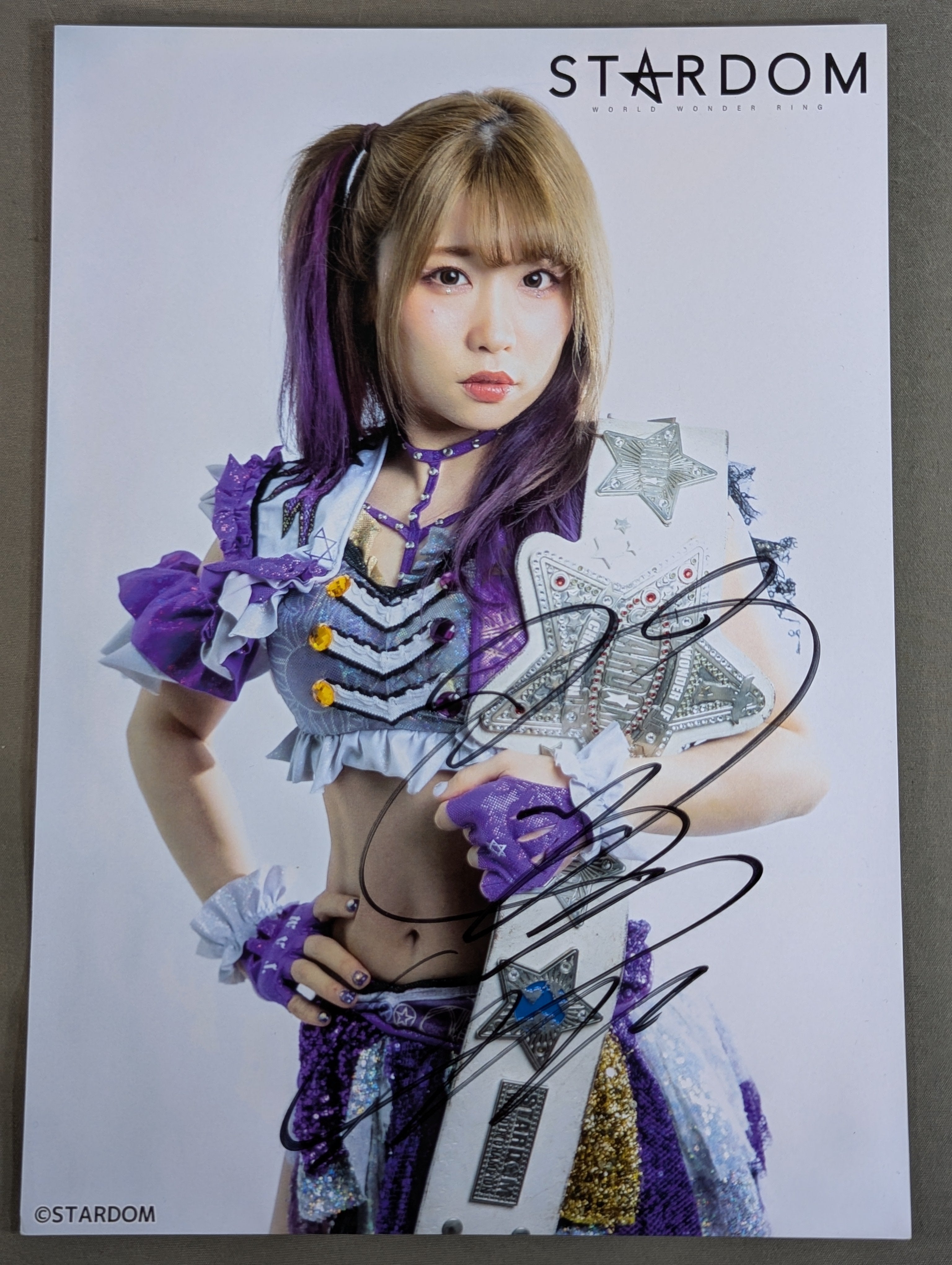 スターダム　中野たむ　サイン入り　パネル　シリアルナンバー　女子プロレス 中野たむ 直筆サイン入り スターダムポートレート(D-1) – 闘道館