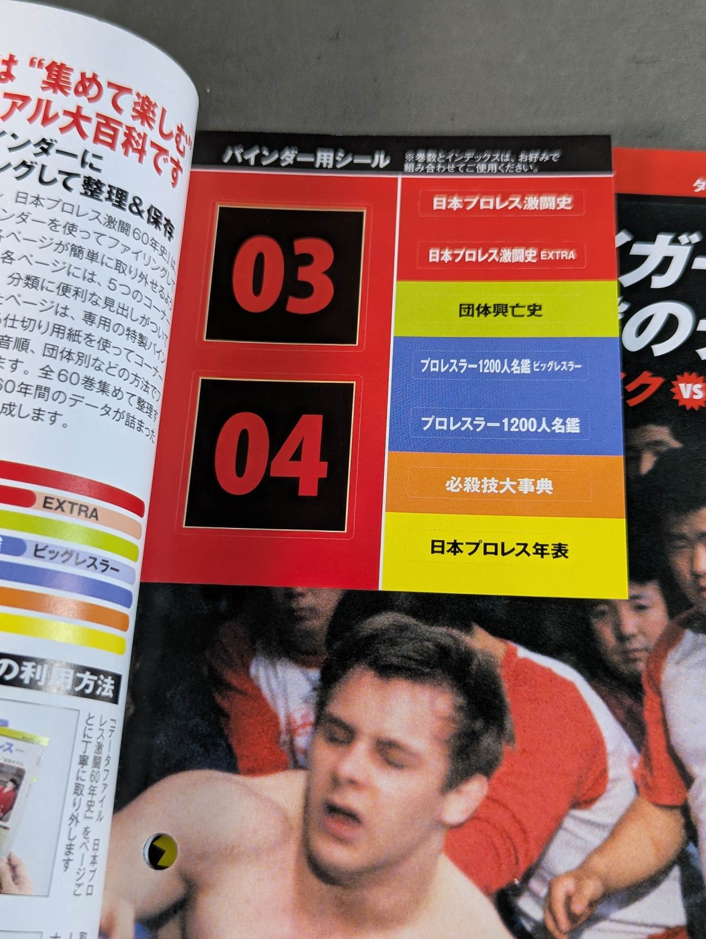日本プロレス激闘60年史 (21) – 闘道館