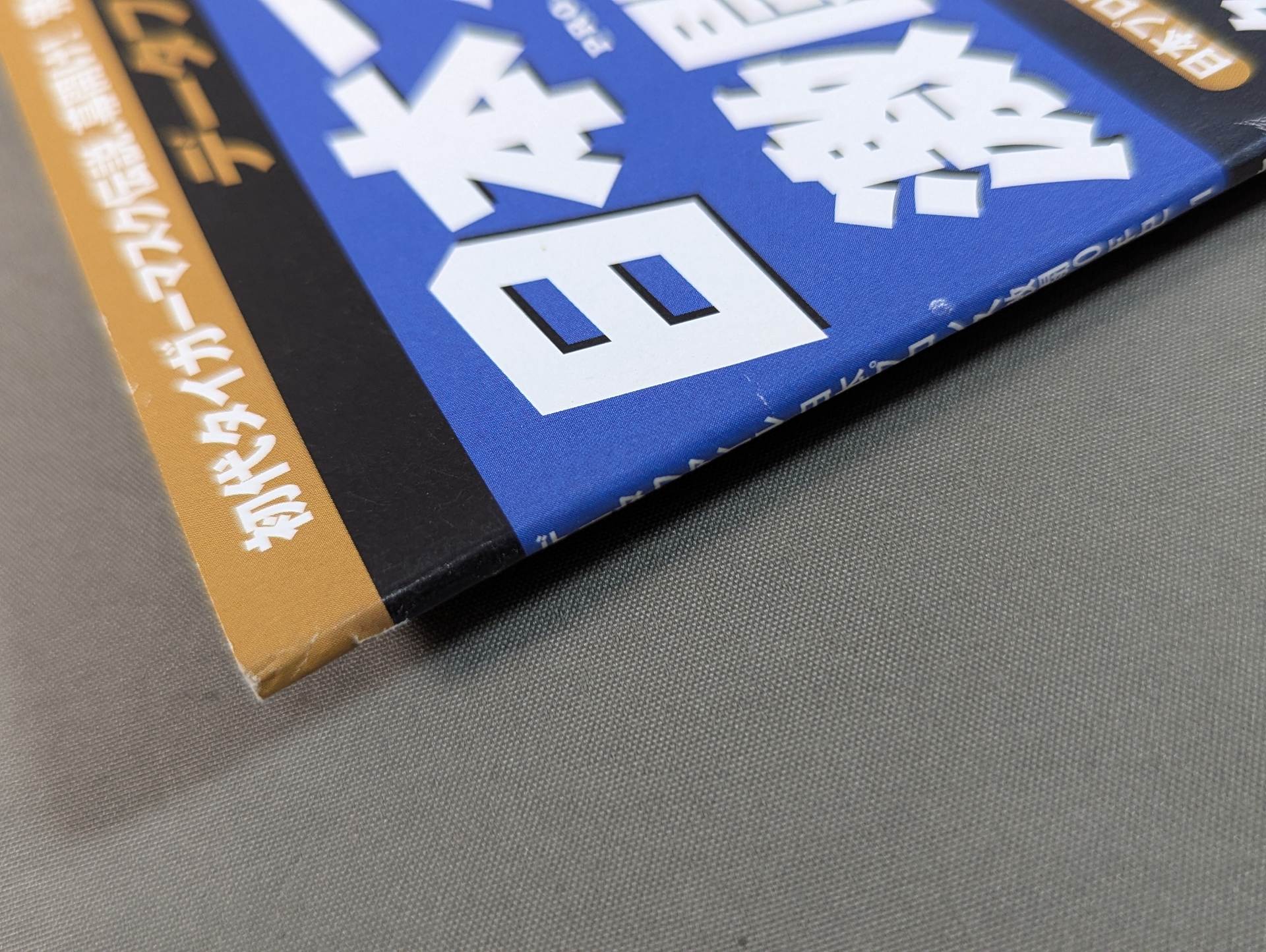 日本プロレス激闘60年史 (21) – 闘道館