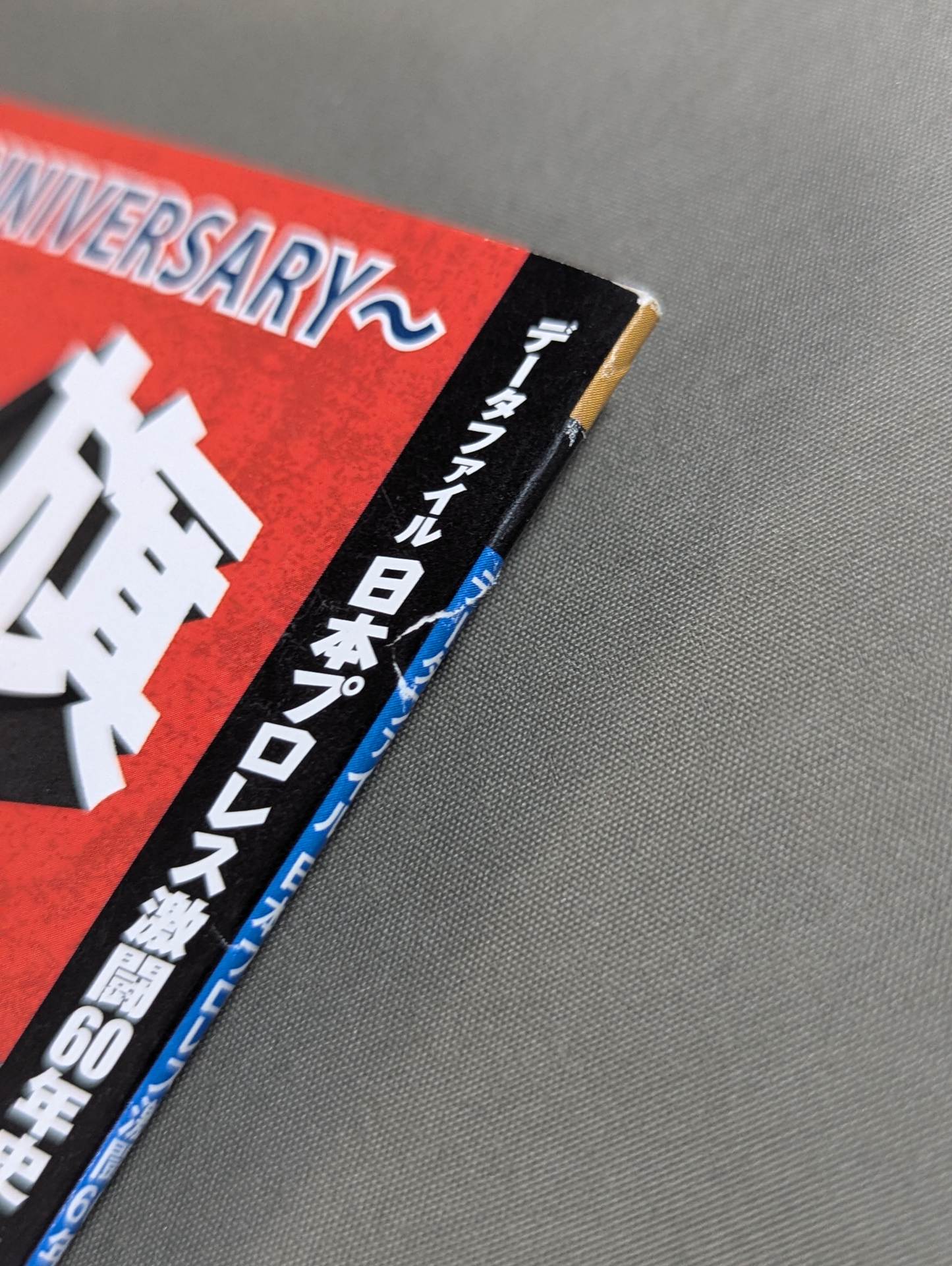 Japan Pro Wrestling  60 Years of Fierce Battle (23)