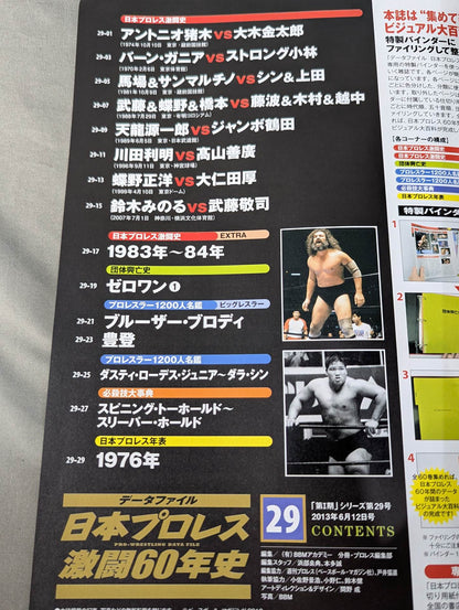 日本プロレス激闘60年史 (29)