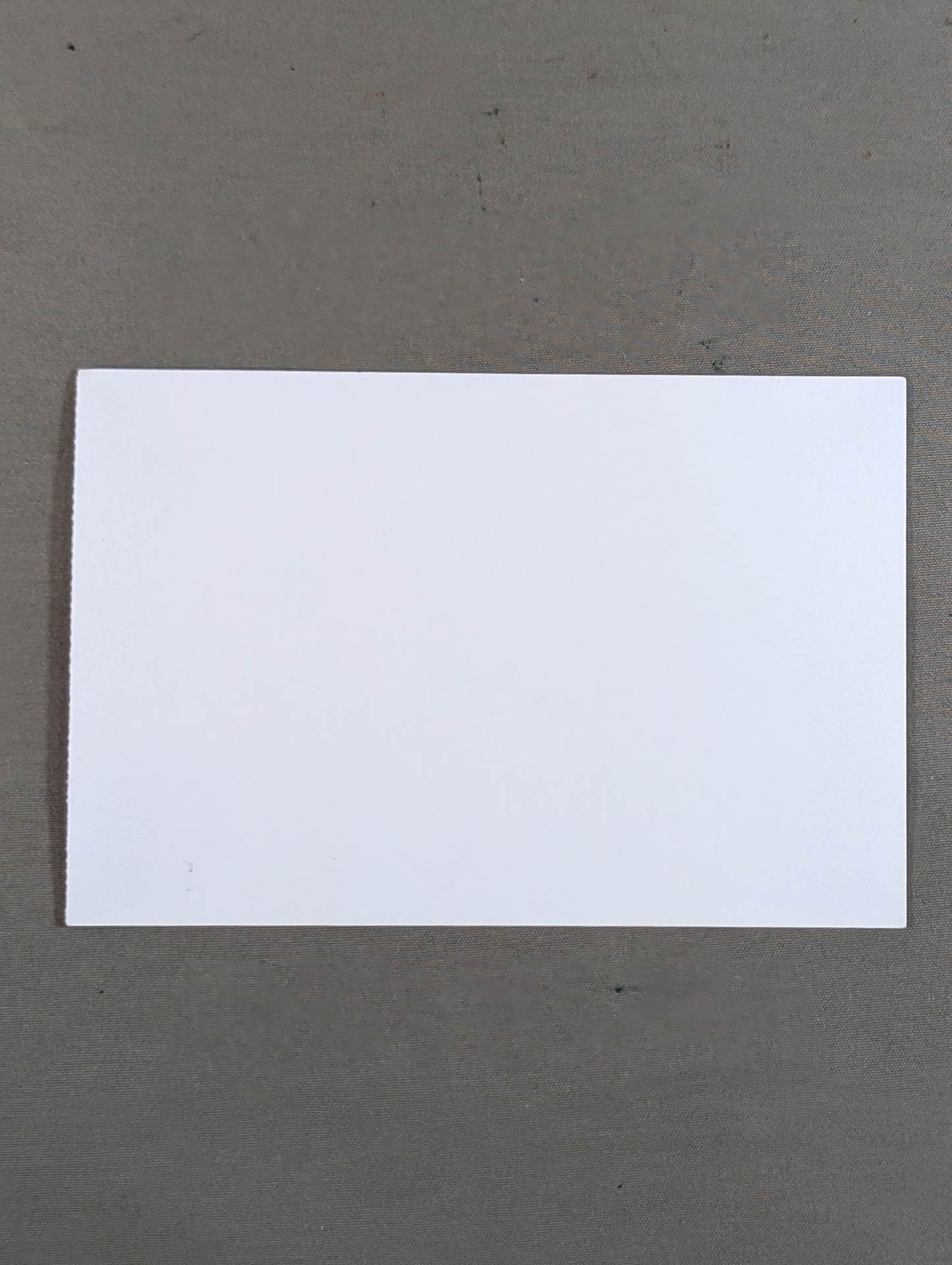 あずさ姫お誕生日自主興行