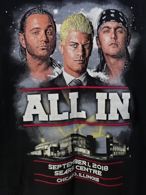 ALL IN 2018 ピクチャーTシャツ